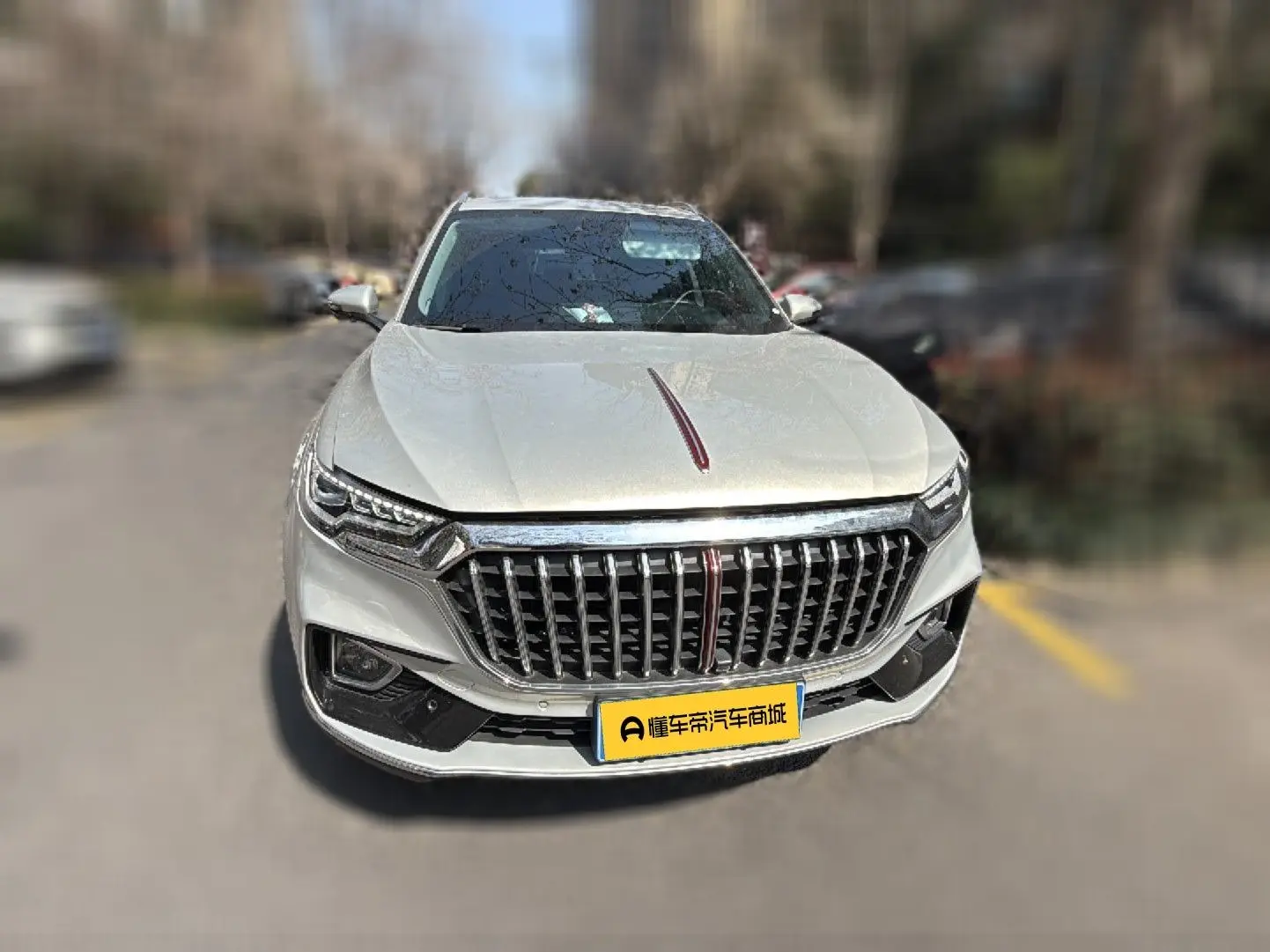 Hongqi HS5  из Китая