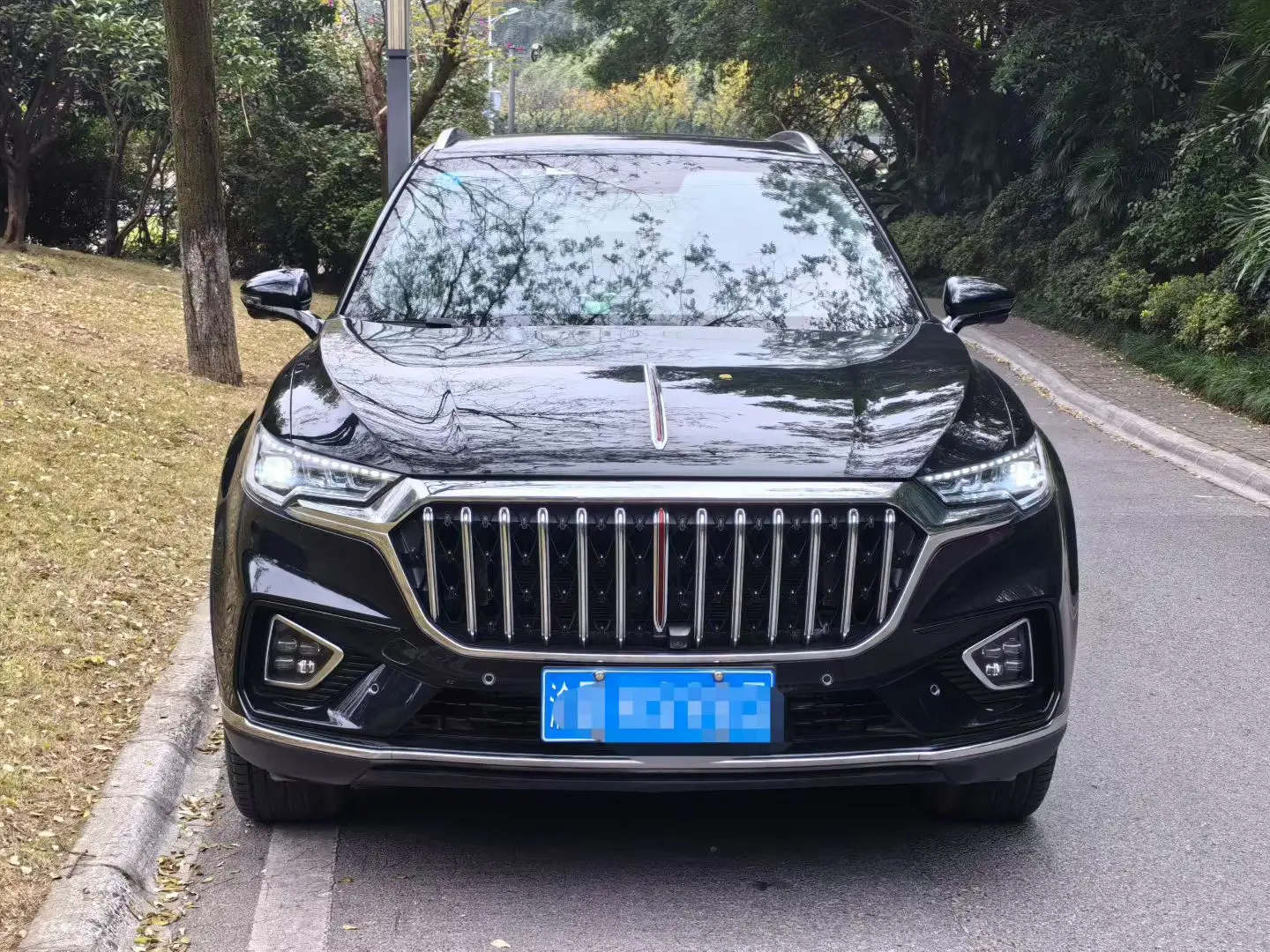 Hongqi HS5  из Китая
