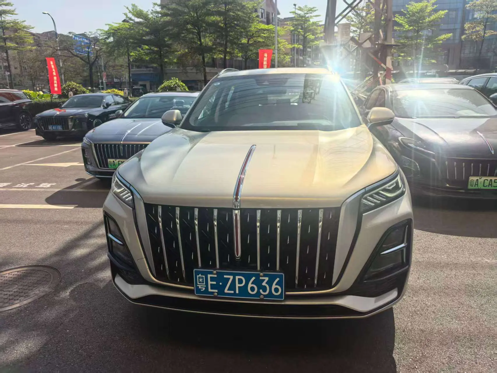 Hongqi HS5  из Китая