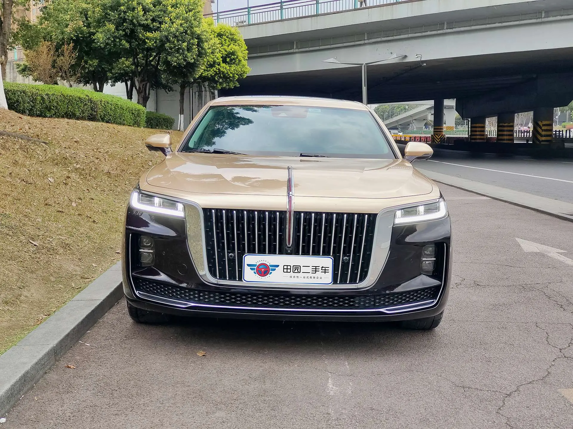 Hongqi H9  из Китая