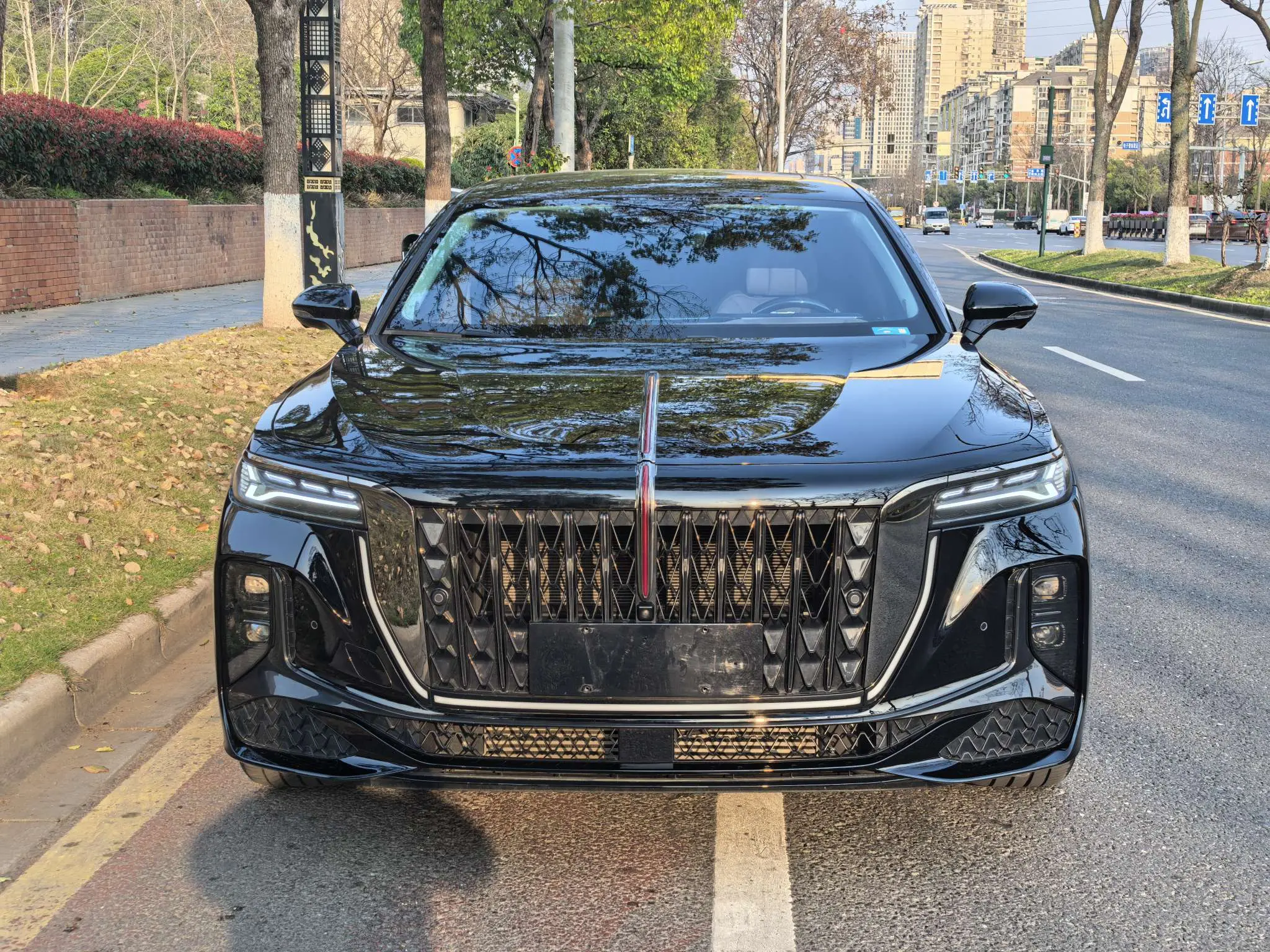 Hongqi H9  из Китая