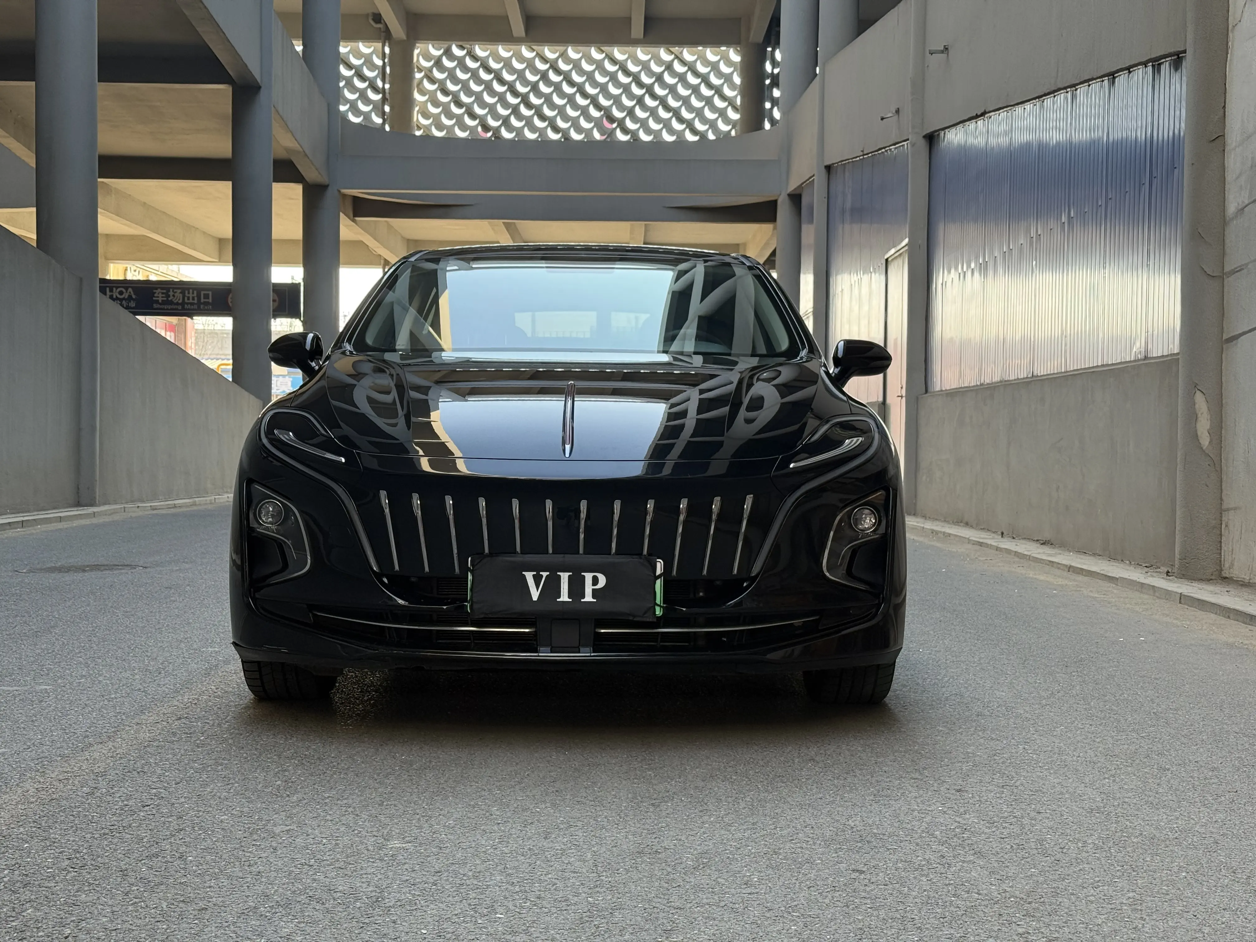 Hongqi E-QM5  из Китая