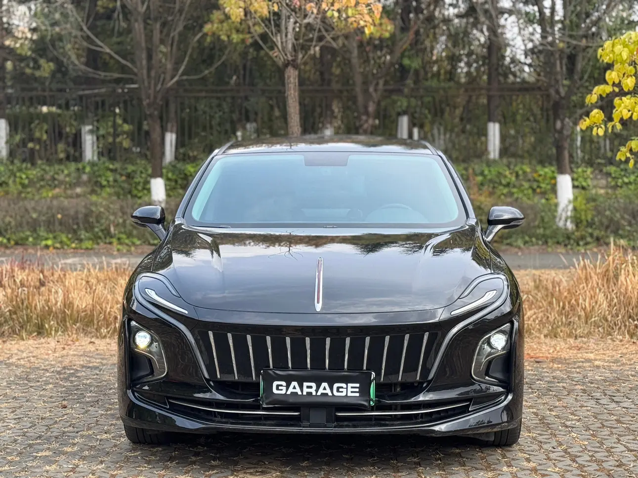 Hongqi E-QM5  из Китая