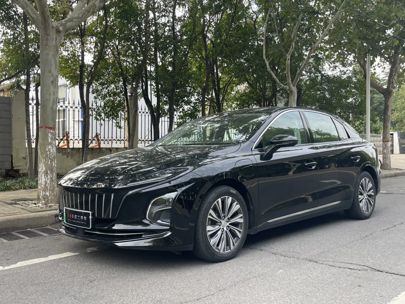 Hongqi E-QM5  из Китая