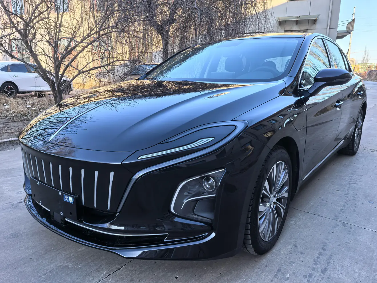 Hongqi E-QM5  из Китая