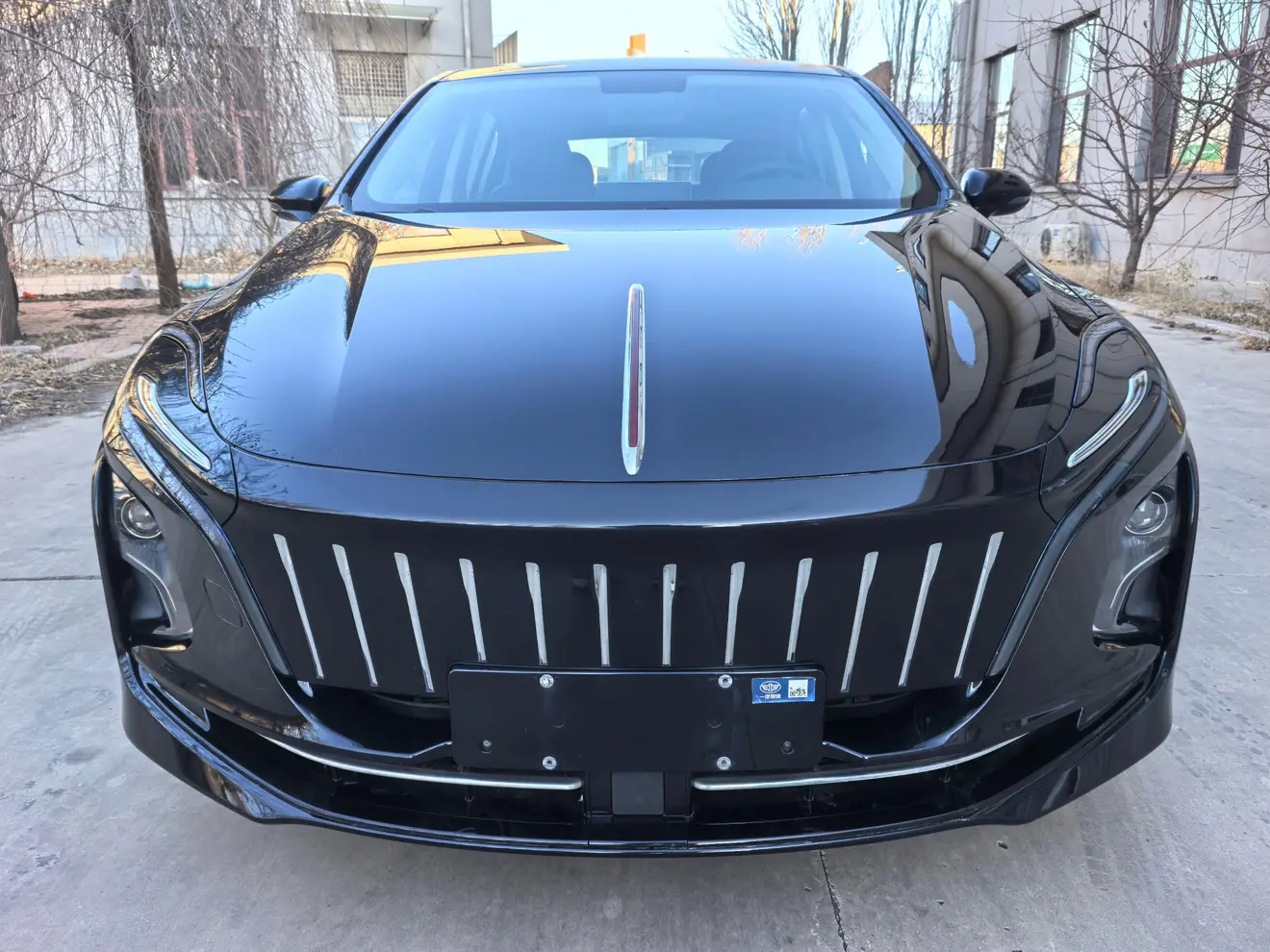 Hongqi E-QM5  из Китая