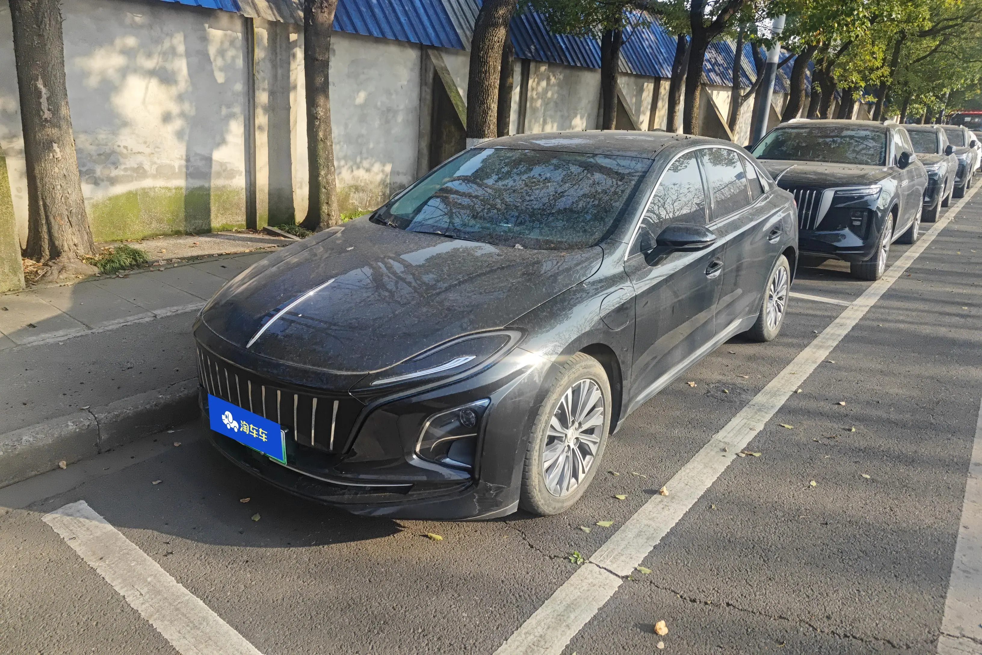 Hongqi E-QM5  из Китая