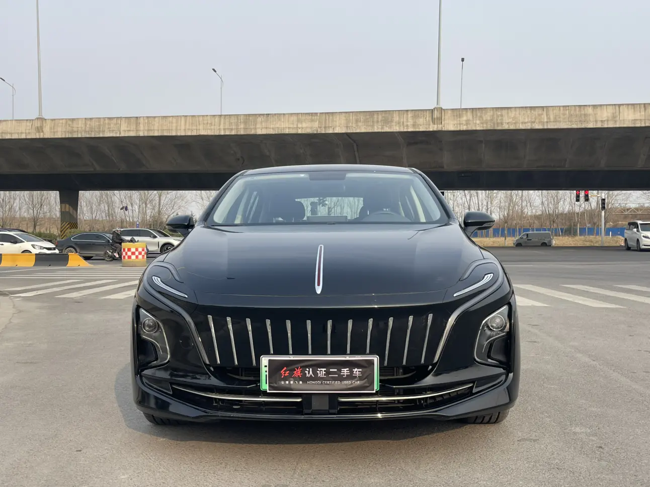 Hongqi E-QM5  из Китая