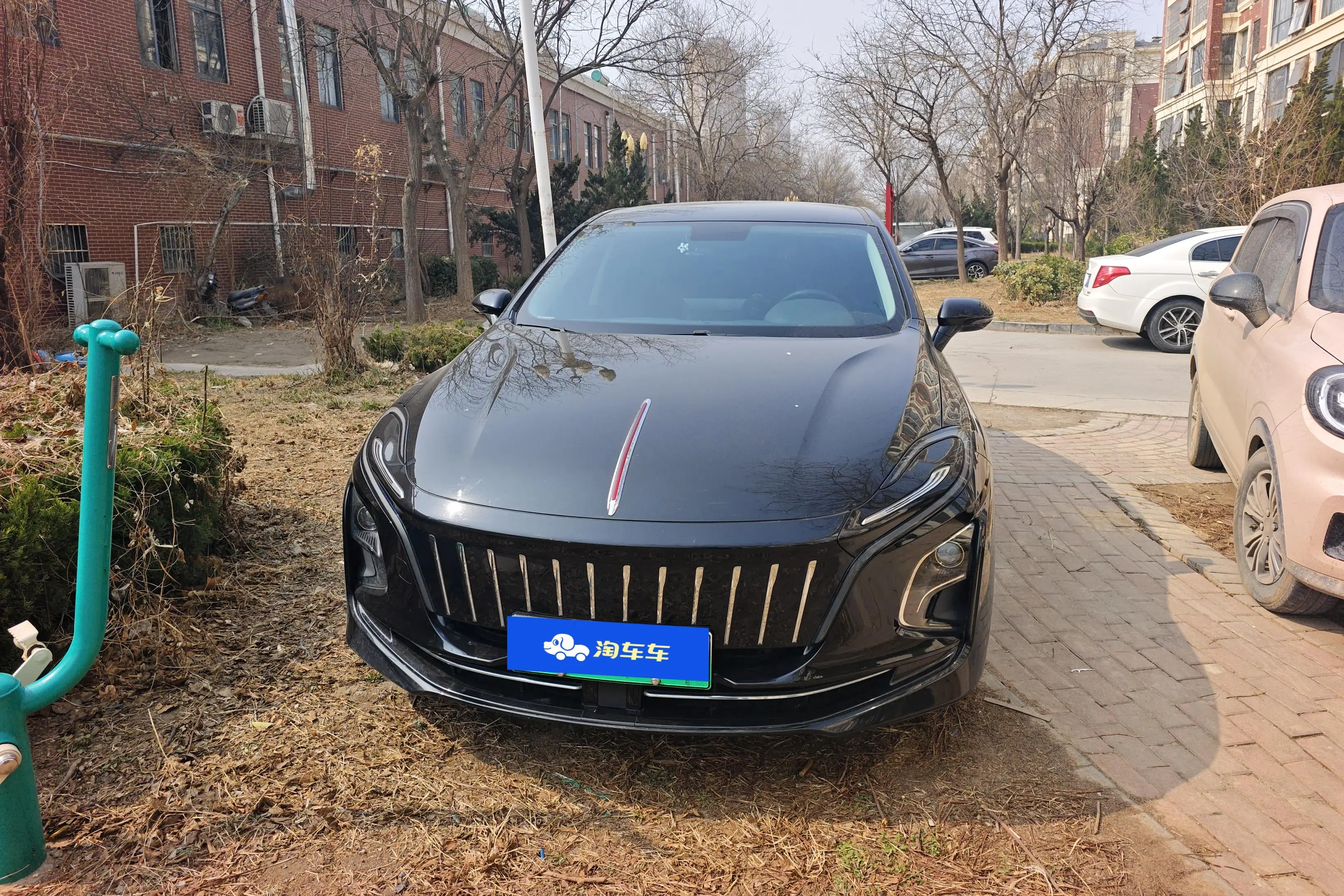 Hongqi E-QM5  из Китая