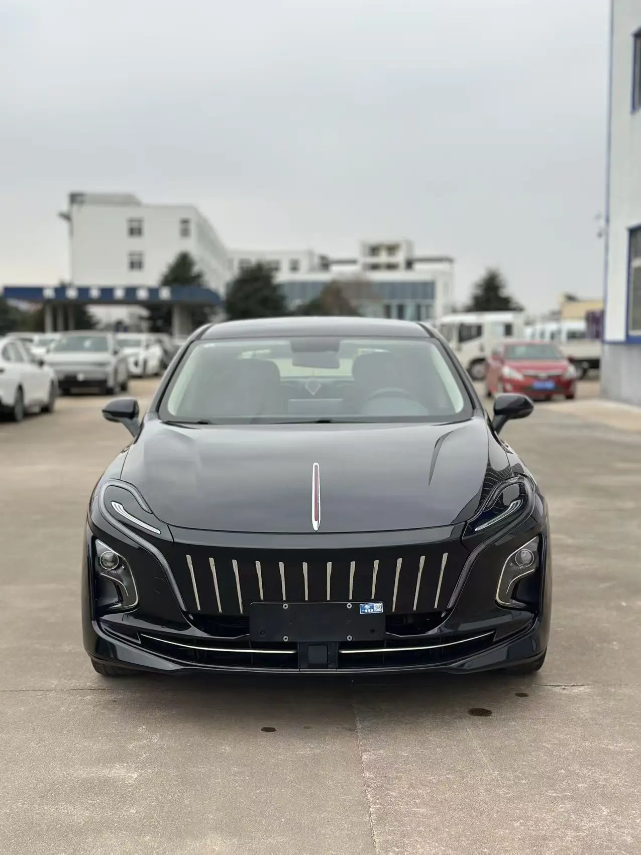 Hongqi E-QM5  из Китая