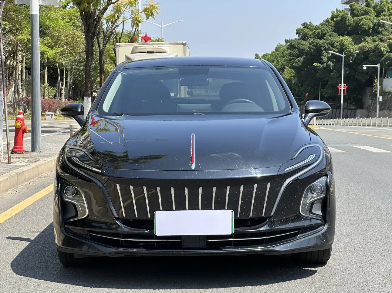 Hongqi E-QM5  из Китая