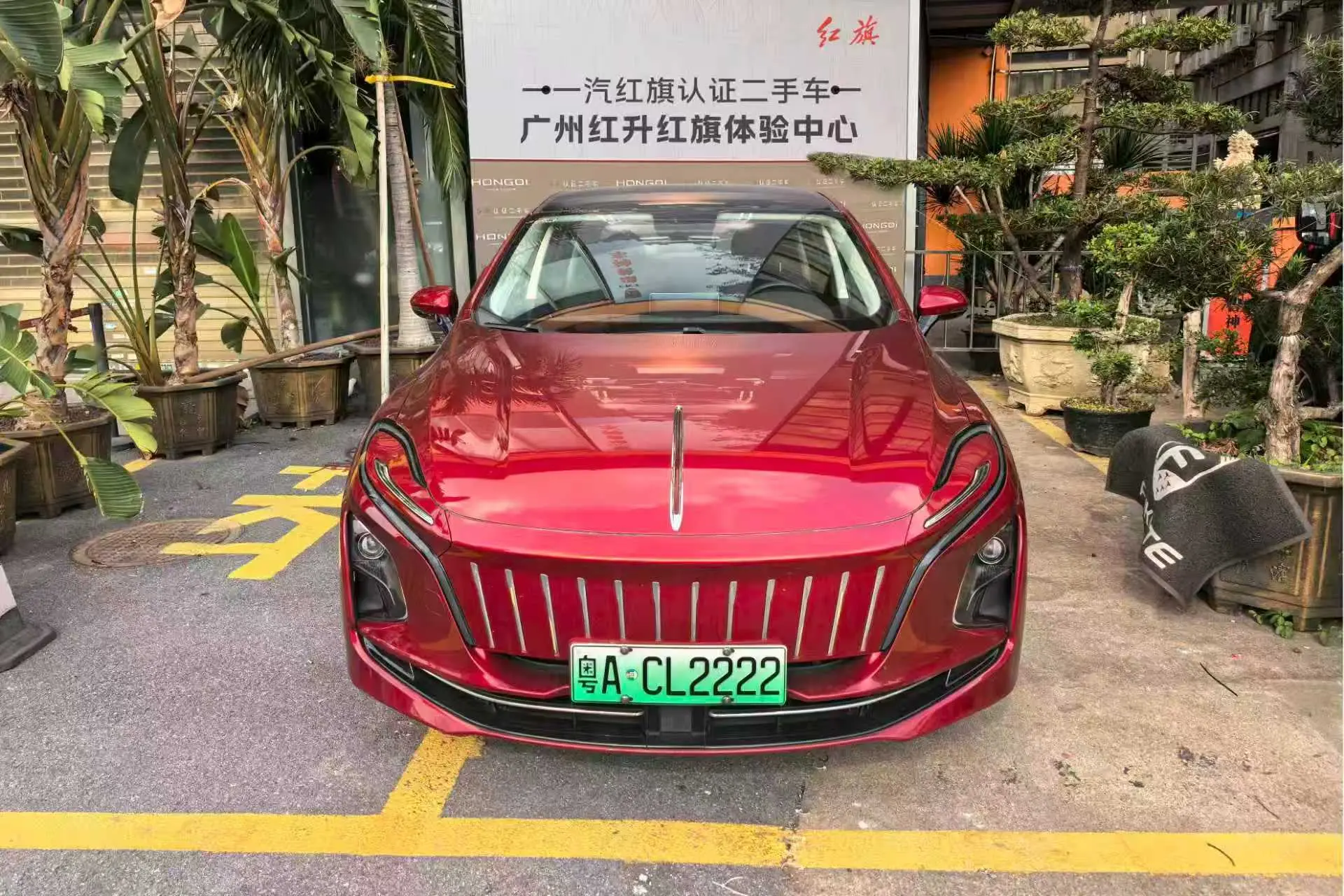 Hongqi E-QM5  из Китая