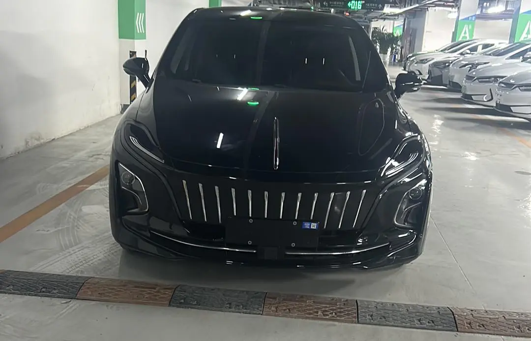 Hongqi E-QM5  из Китая