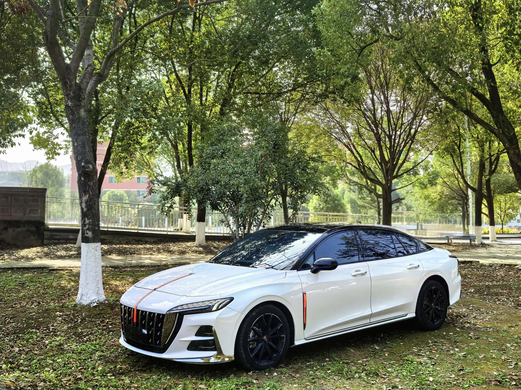 Hongqi H6  из Китая