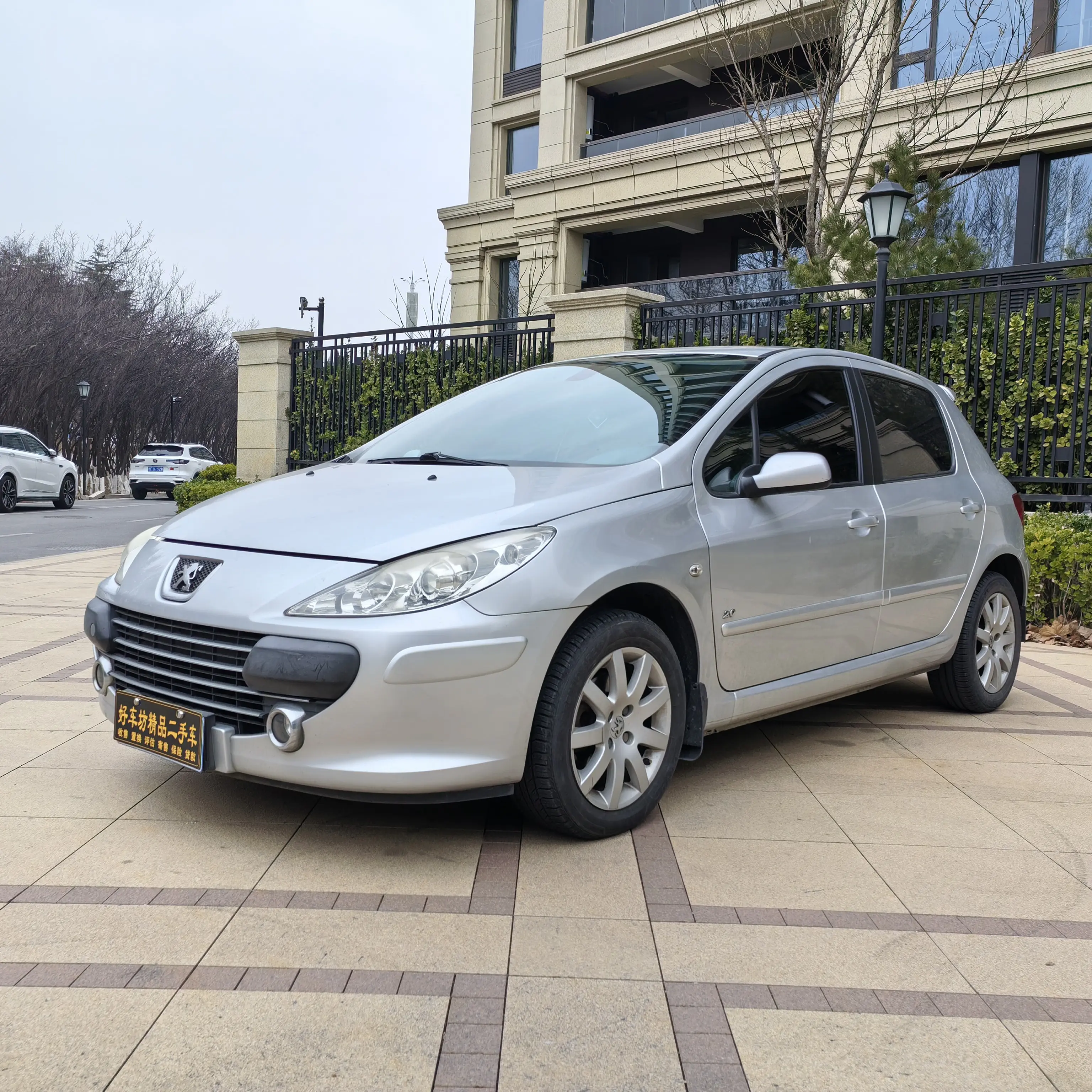 Peugeot 307  из Китая
