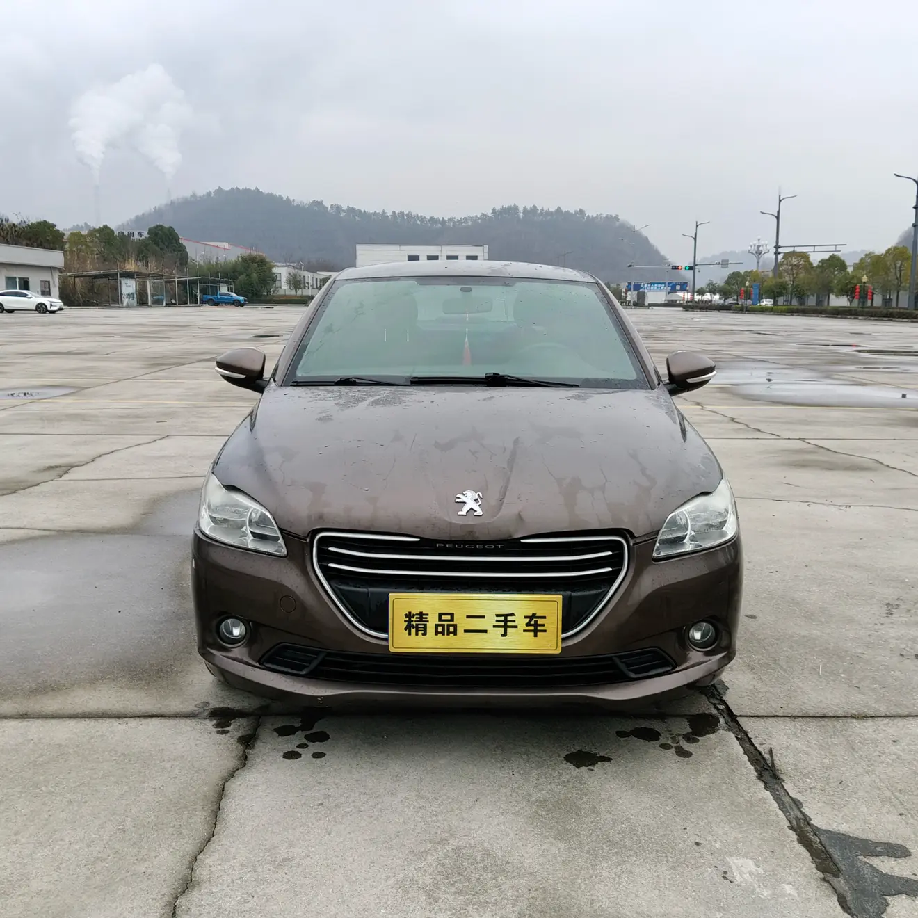 Peugeot 301  из Китая