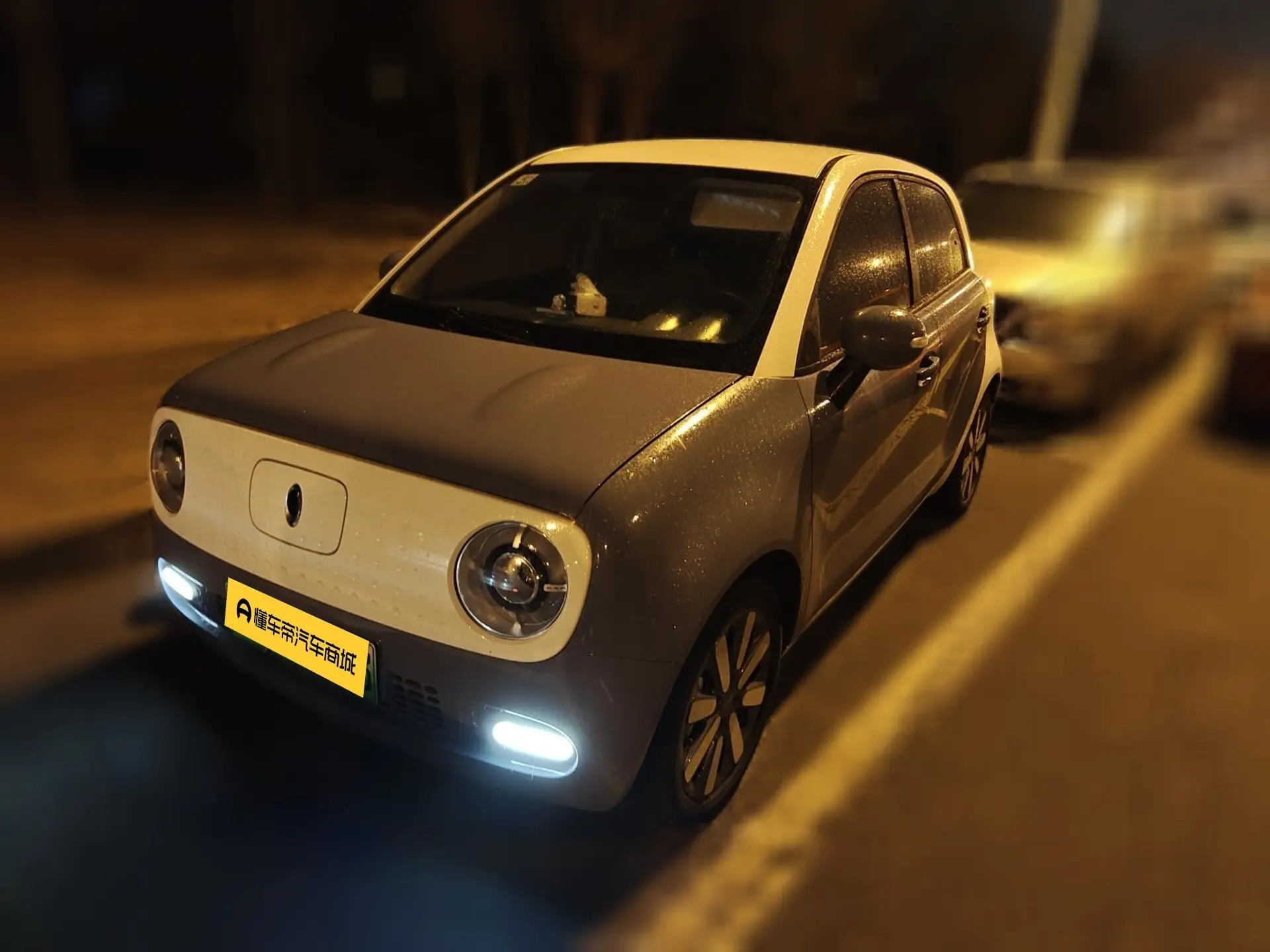 ORA Euler black cat  из Китая