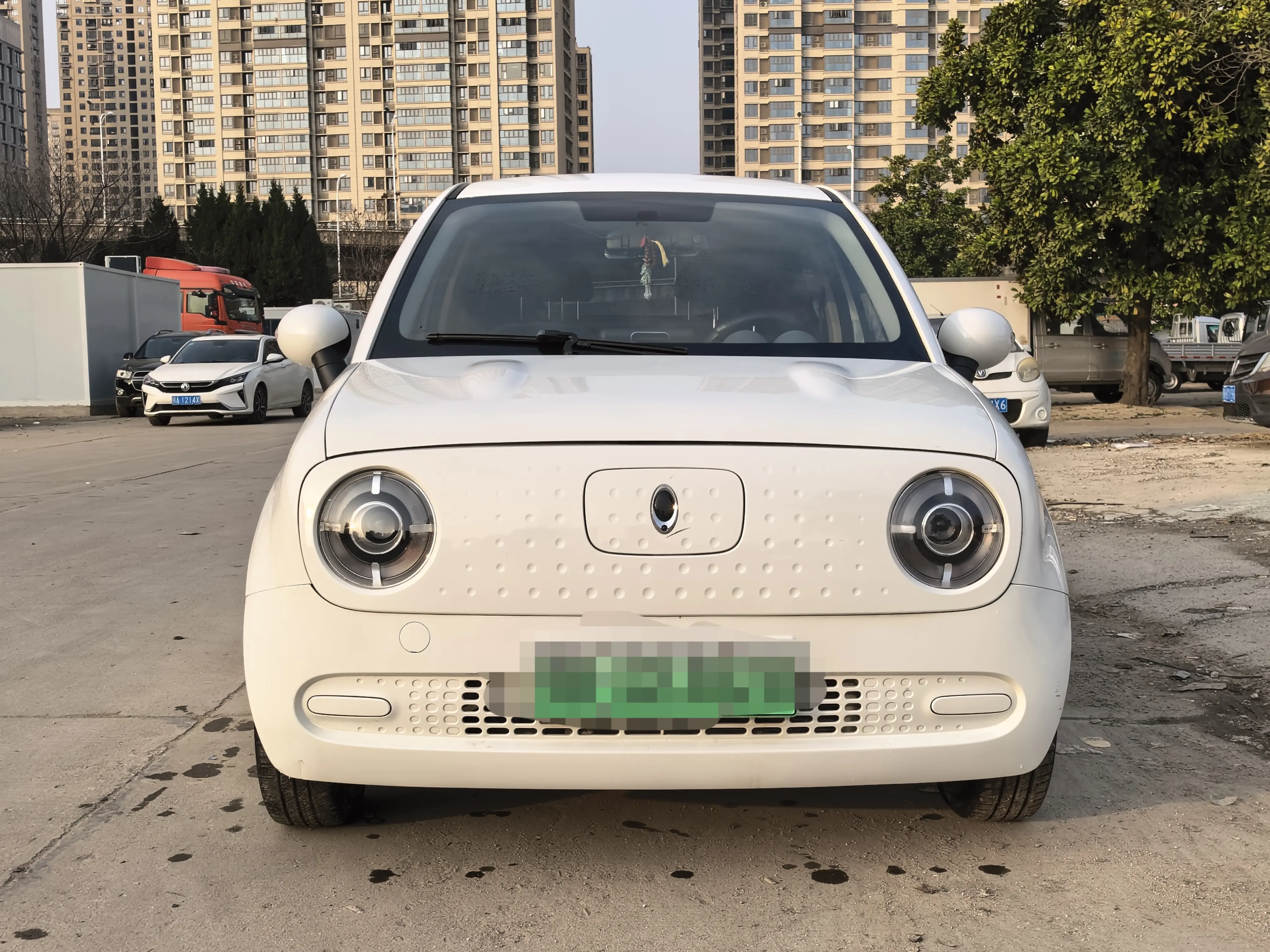 ORA Euler black cat  из Китая