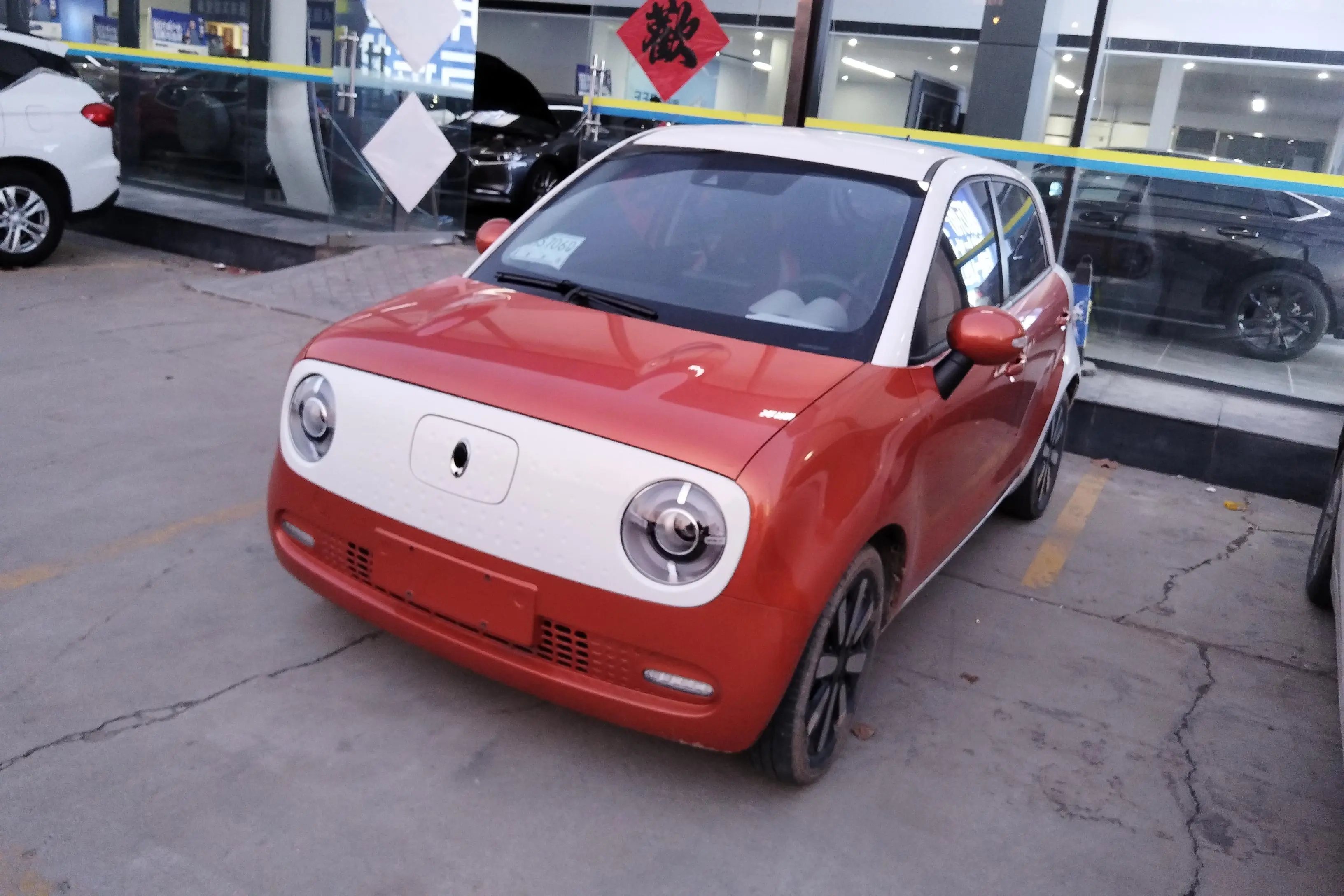 ORA Euler black cat  из Китая