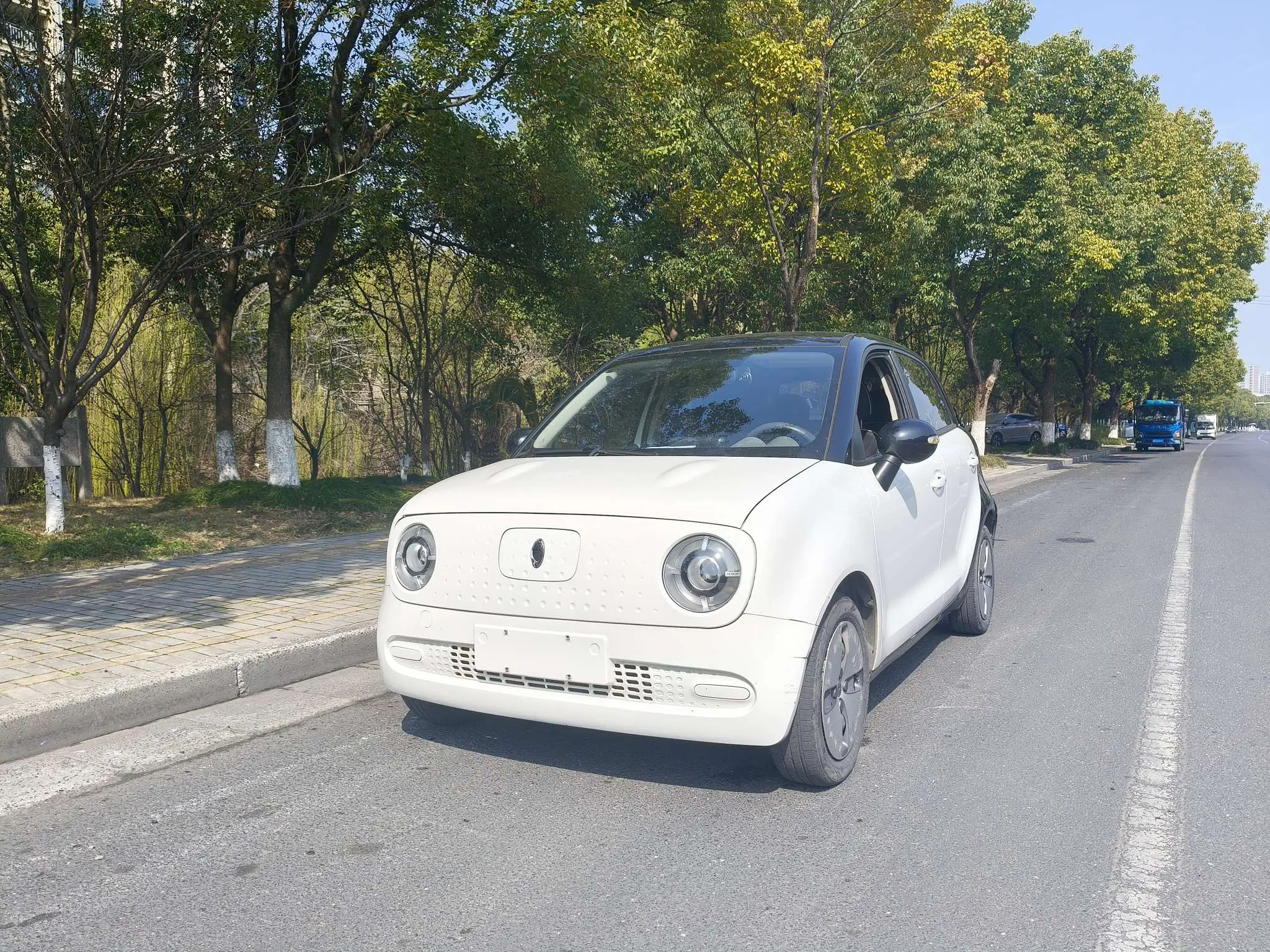 ORA Euler black cat  из Китая