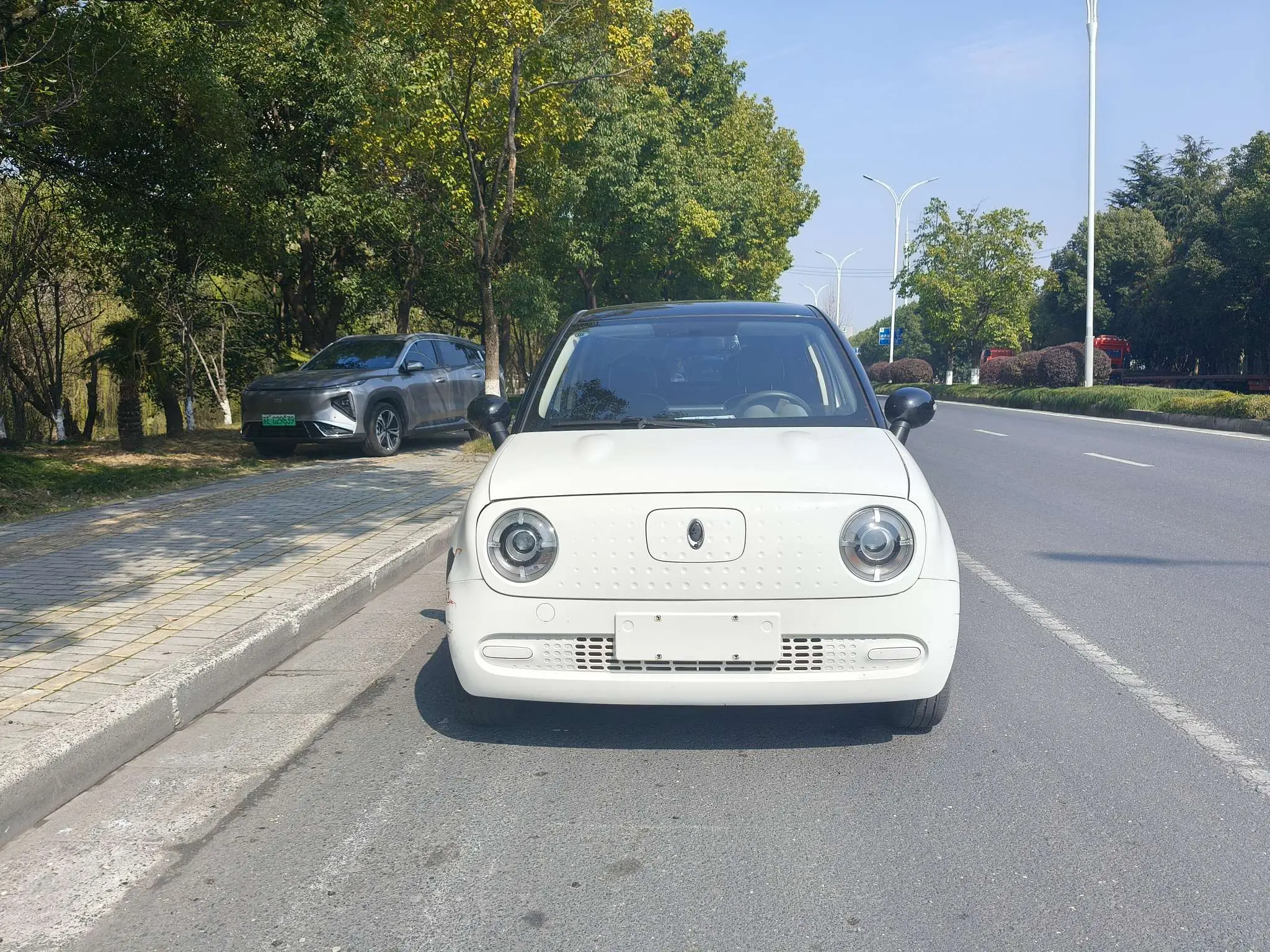 ORA Euler black cat  из Китая