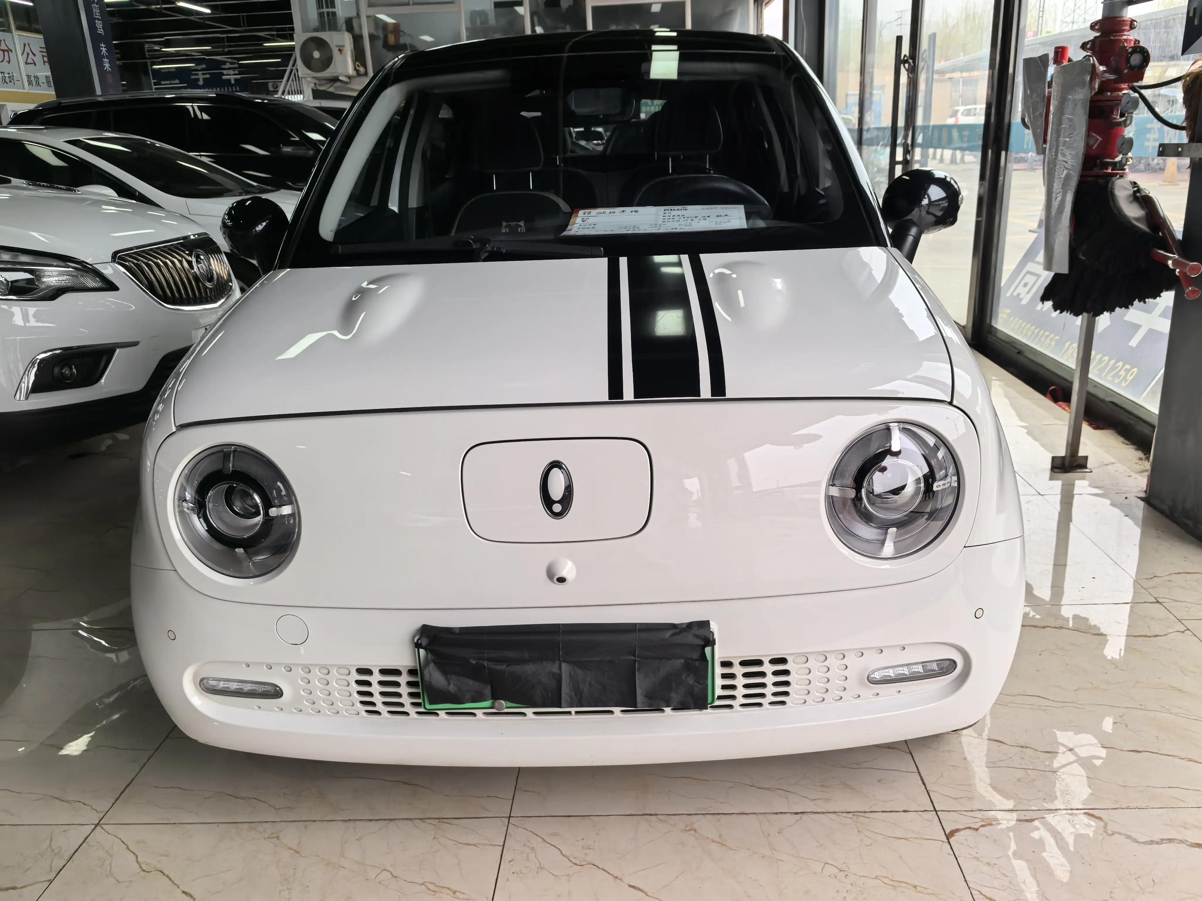 ORA Euler black cat  из Китая