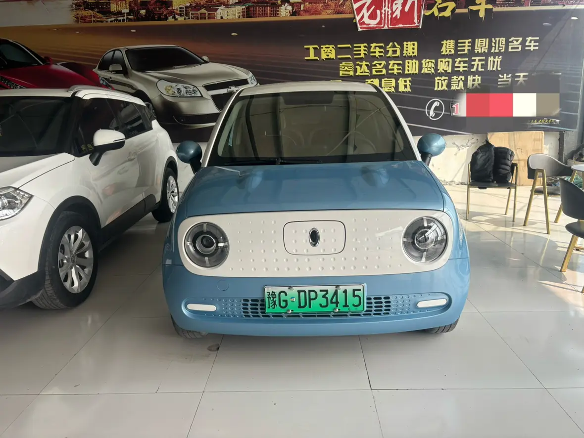 ORA Euler black cat  из Китая