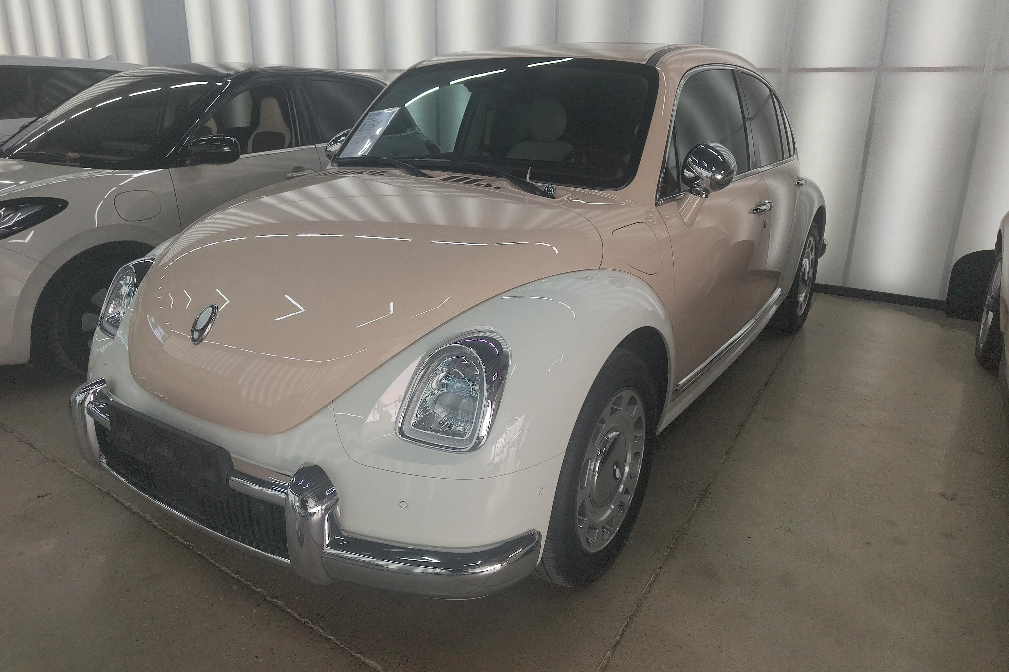 ORA Euler ballet cat  из Китая