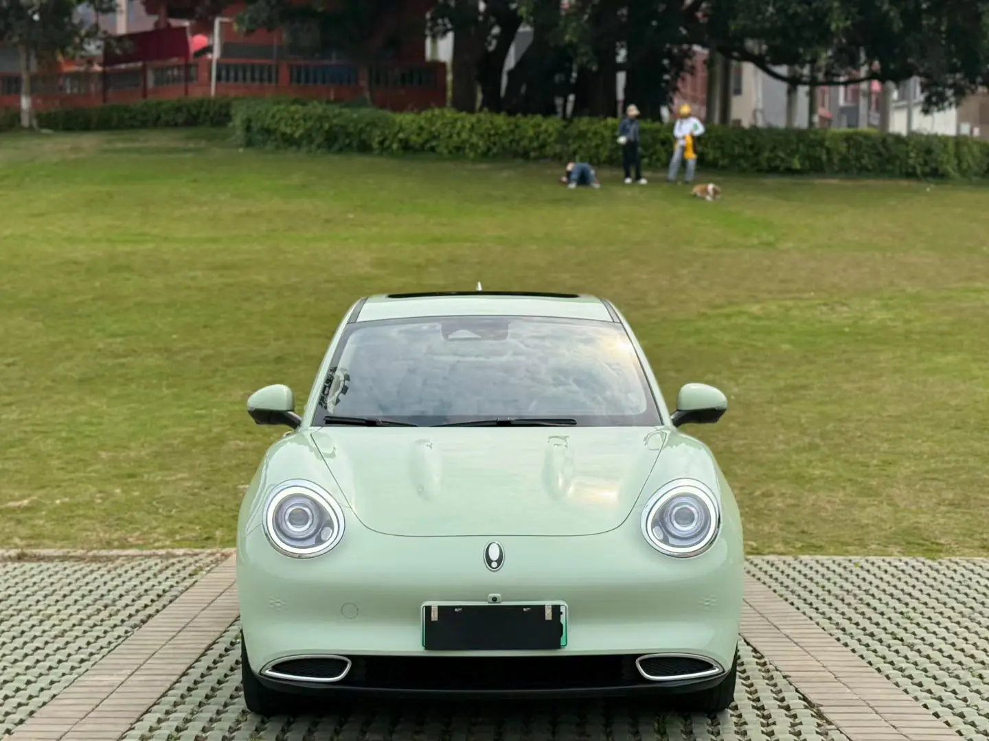 ORA Euler good cat  из Китая