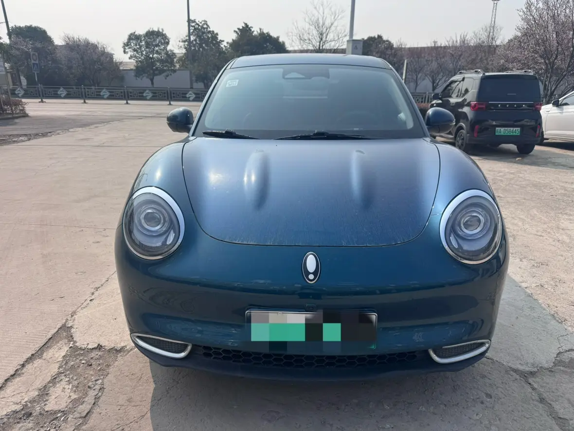 ORA Euler good cat  из Китая