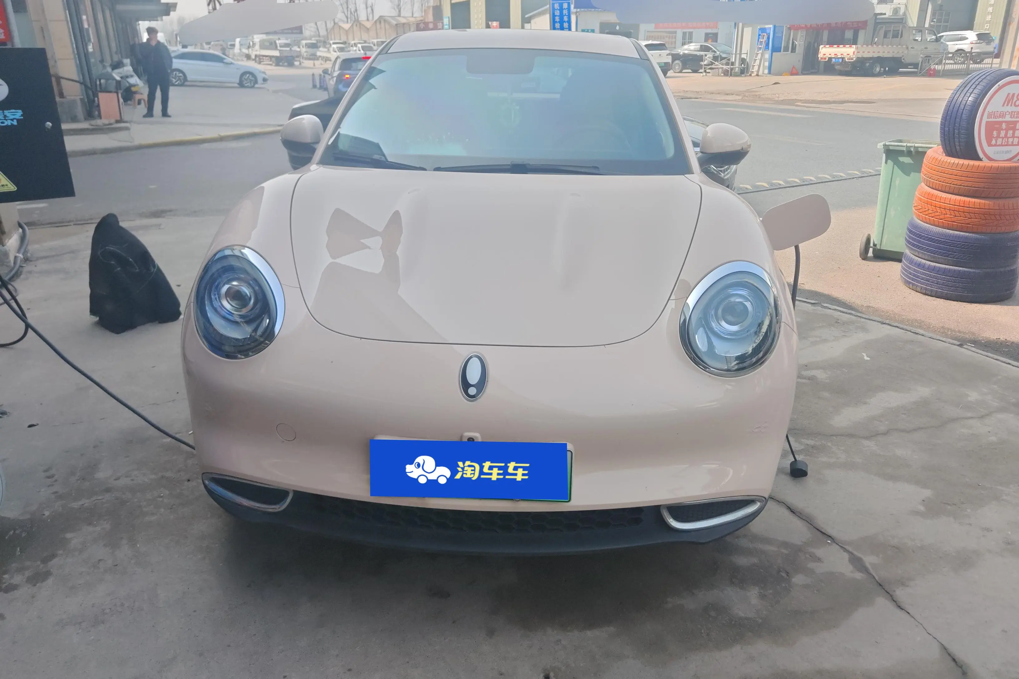 ORA Euler good cat  из Китая