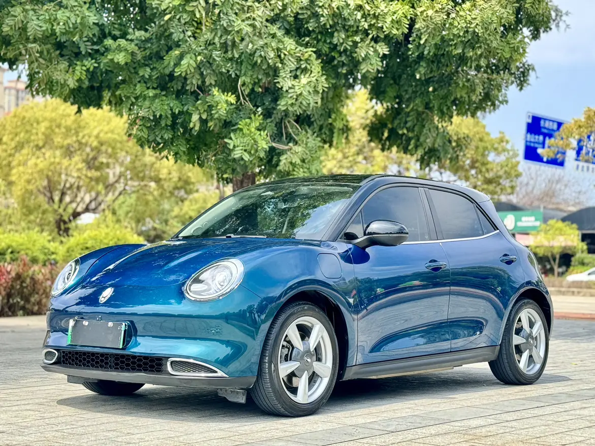 ORA Euler good cat  из Китая