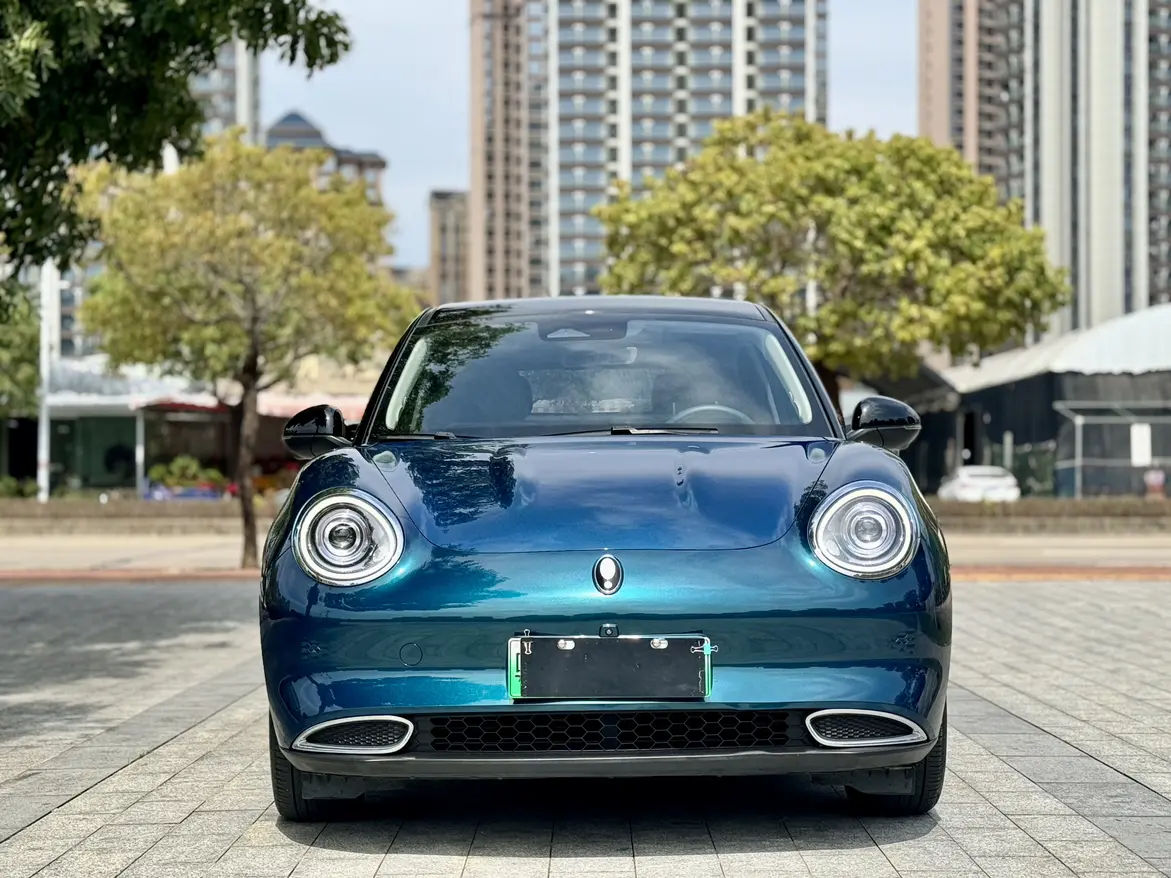 ORA Euler good cat  из Китая