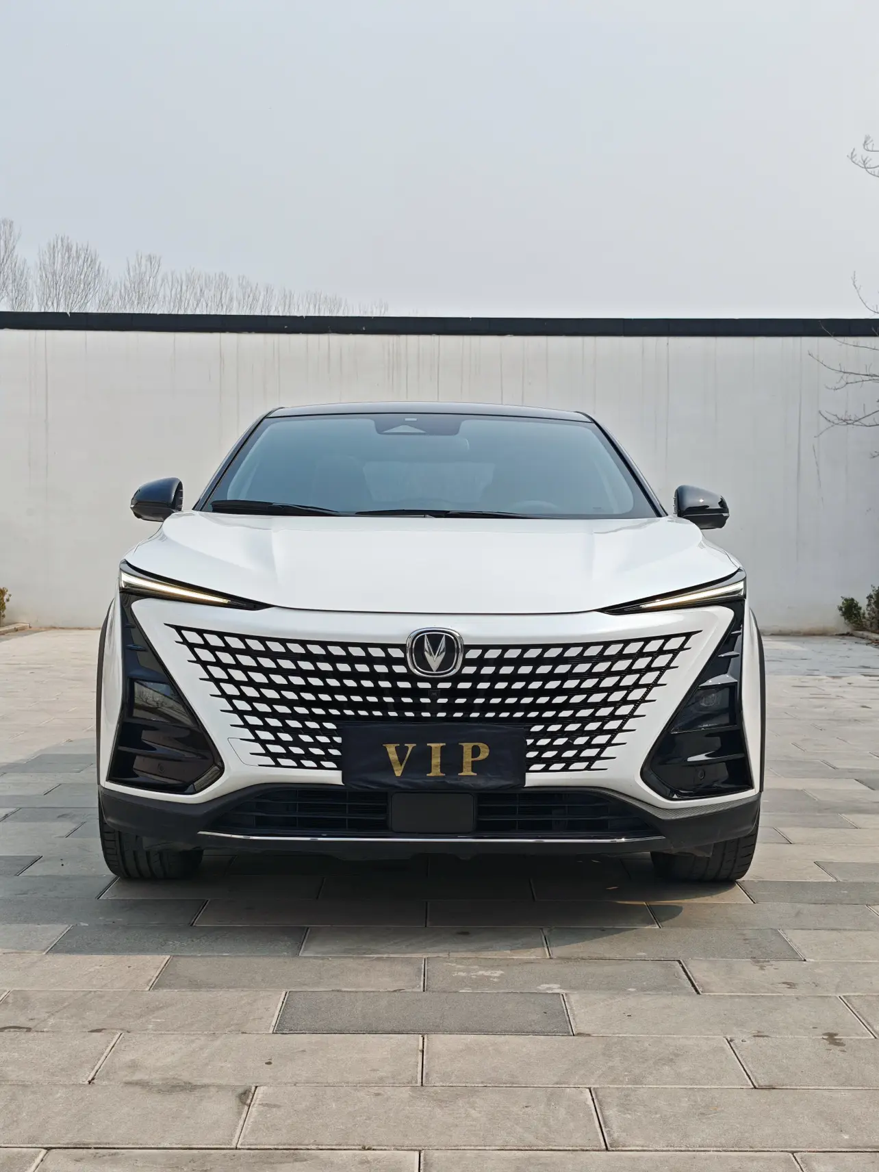 Changan UNI-T  из Китая