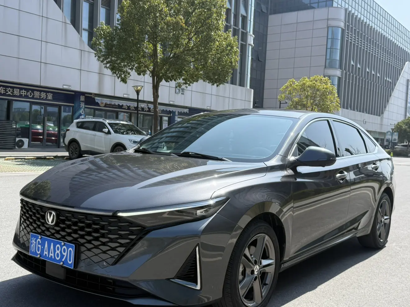 Changan Ruicheng PLUS  из Китая