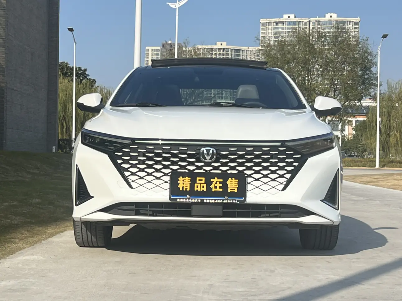 Changan Ruicheng PLUS  из Китая