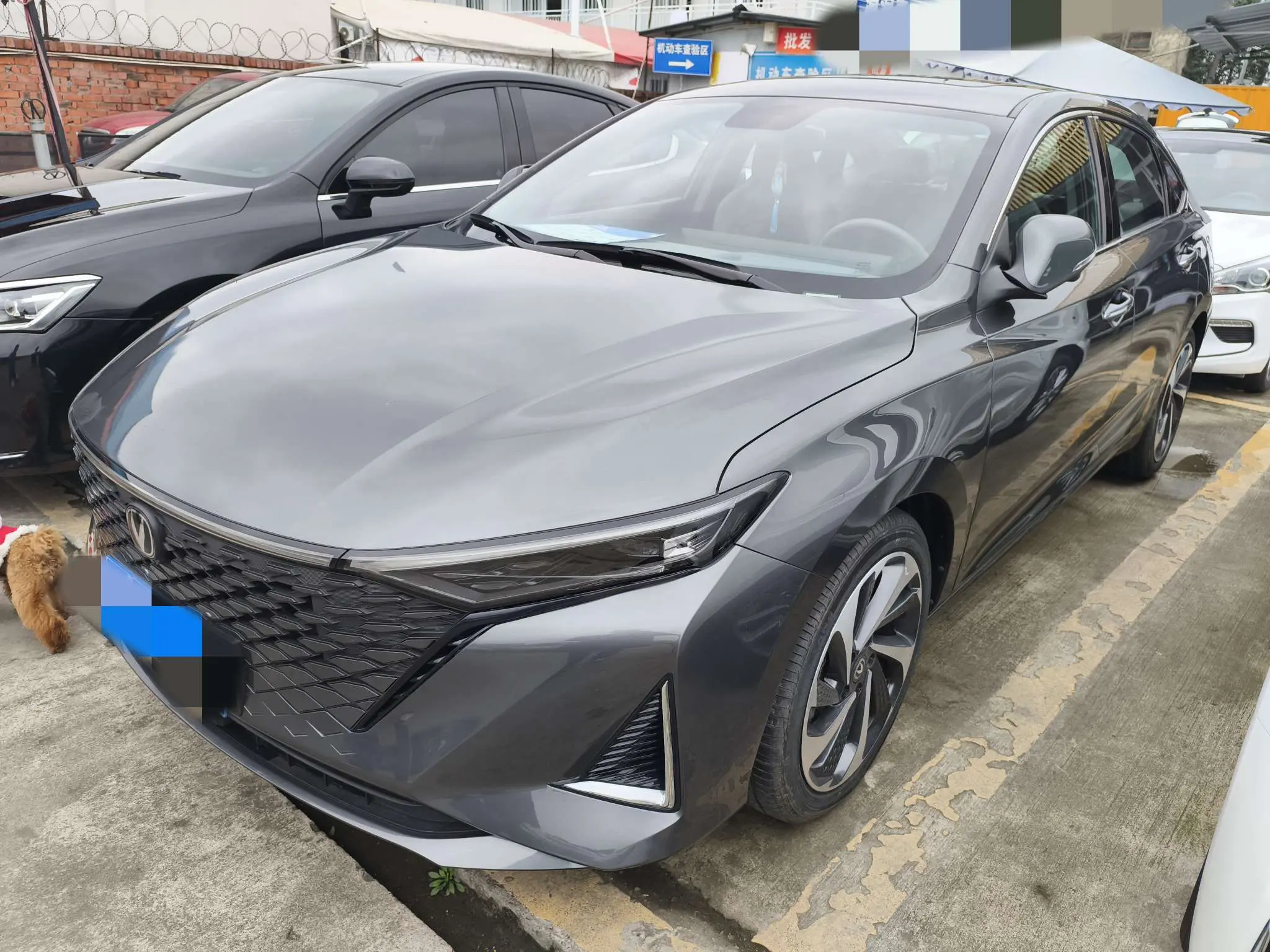 Changan Ruicheng PLUS  из Китая