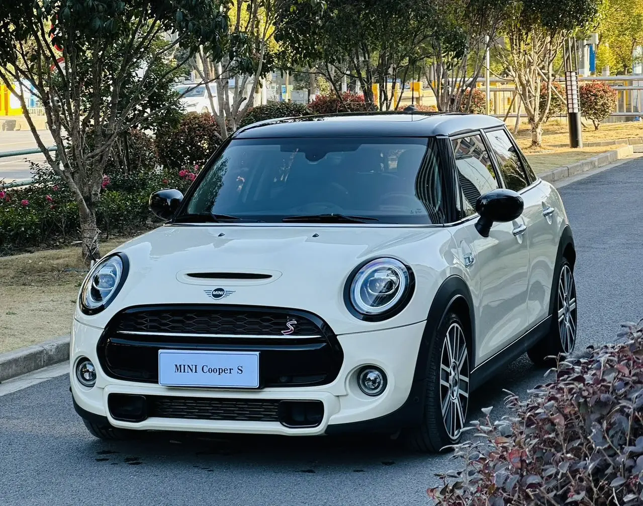 MINI MINI