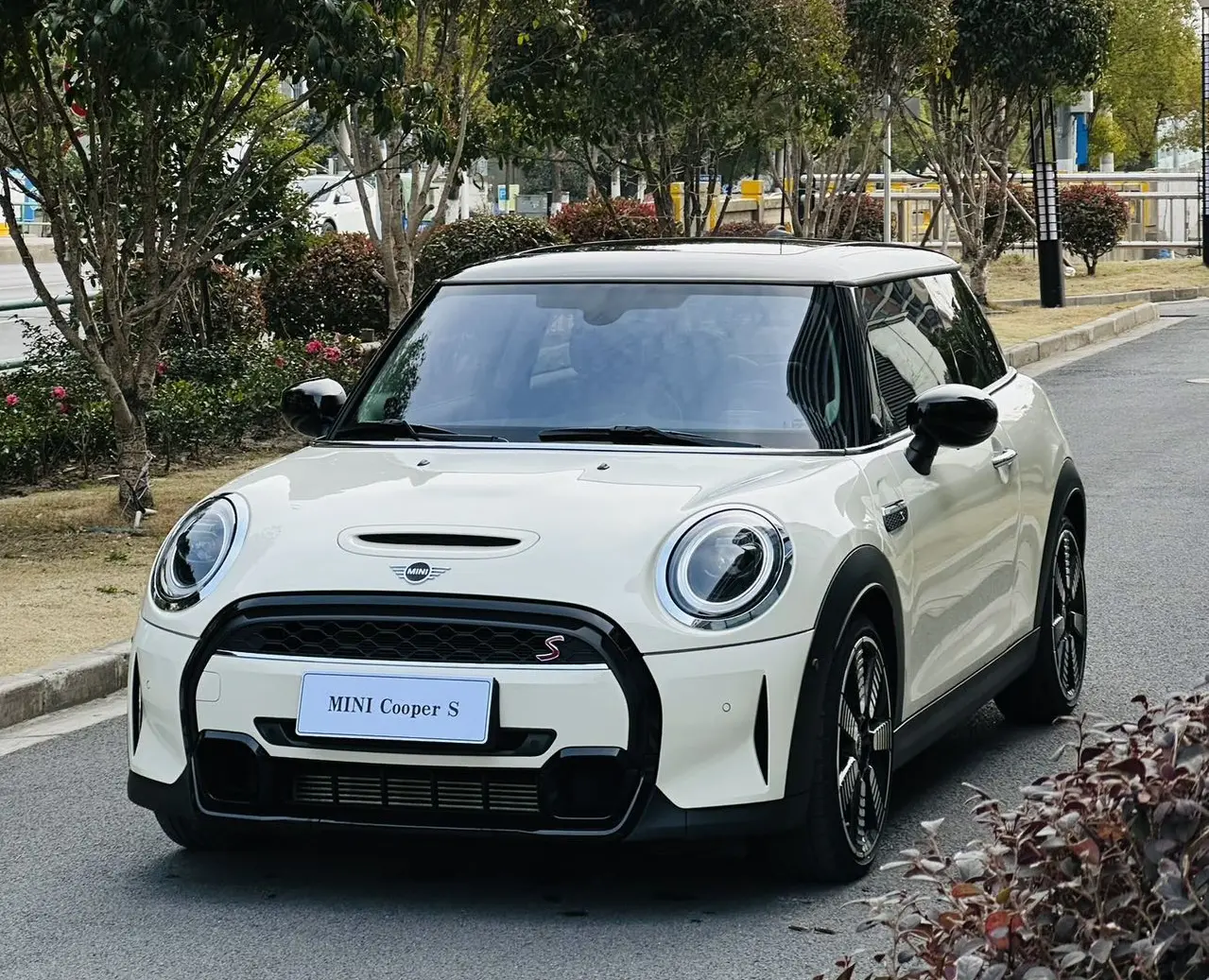 MINI MINI