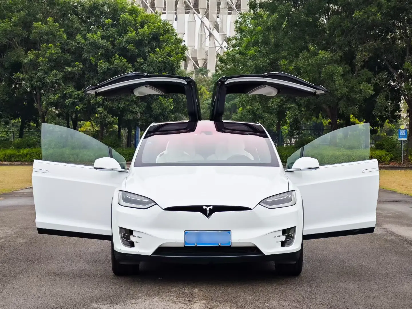 Tesla Model X  из Китая