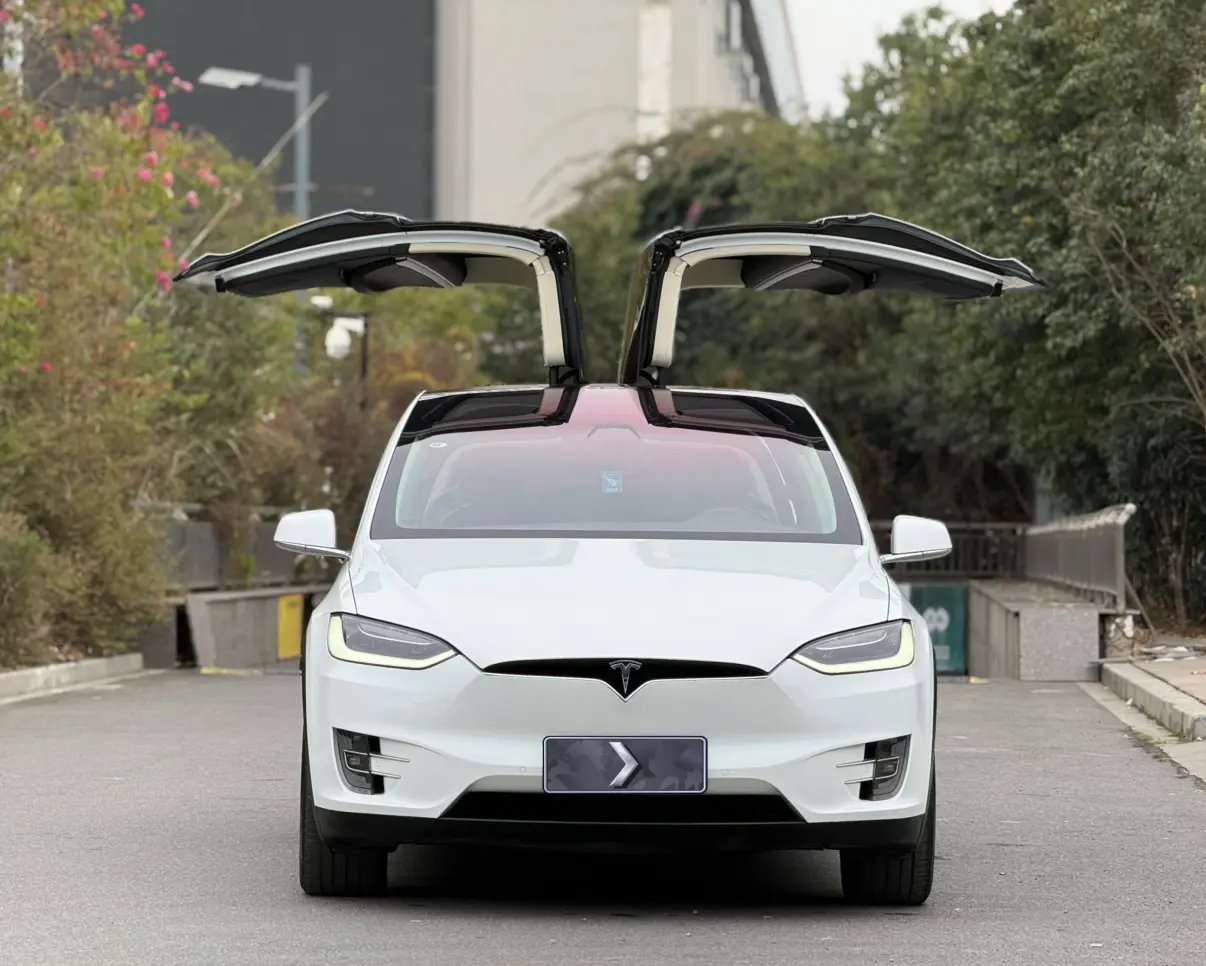 Tesla Model X  из Китая