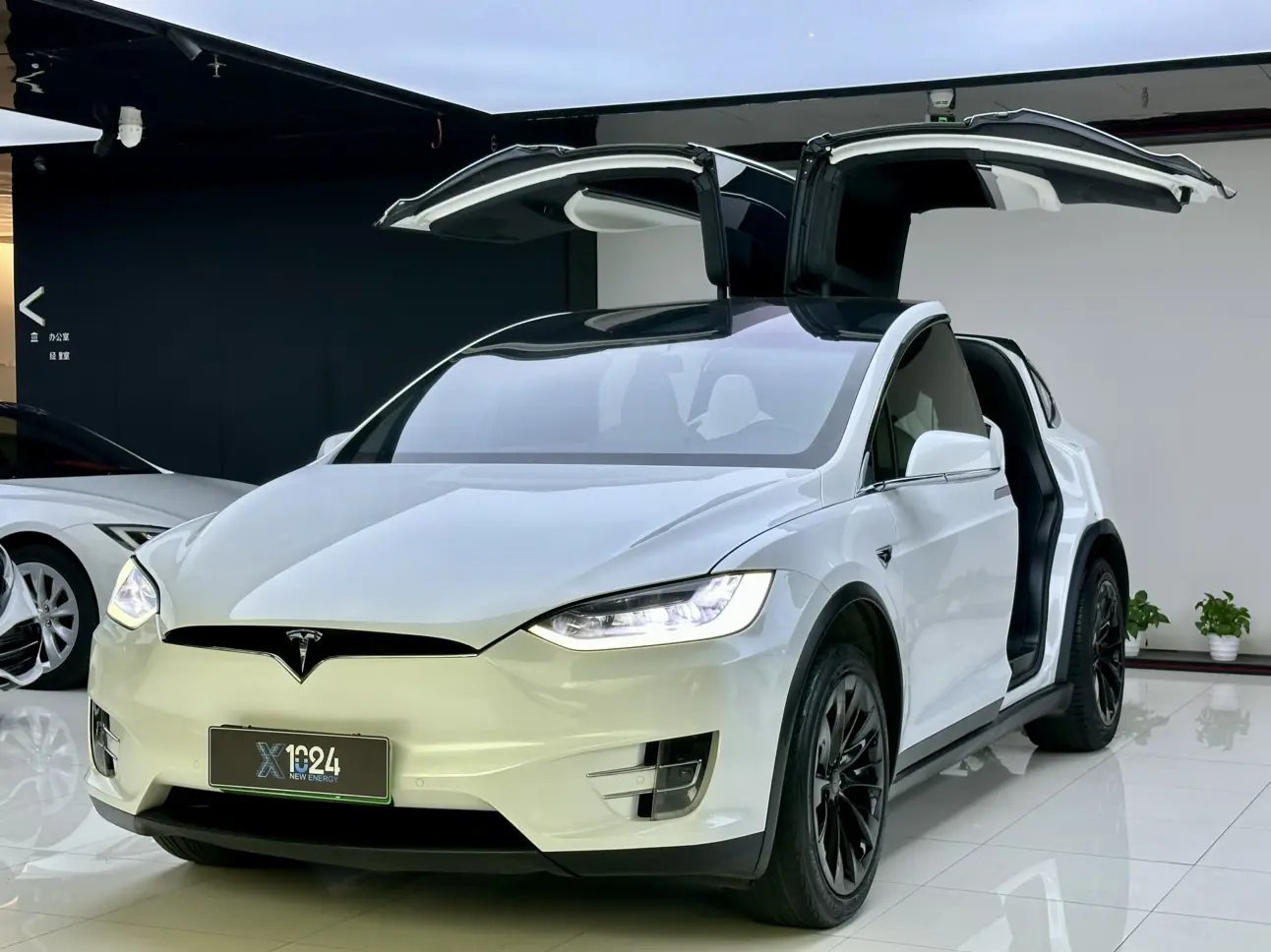 Tesla Model X  из Китая