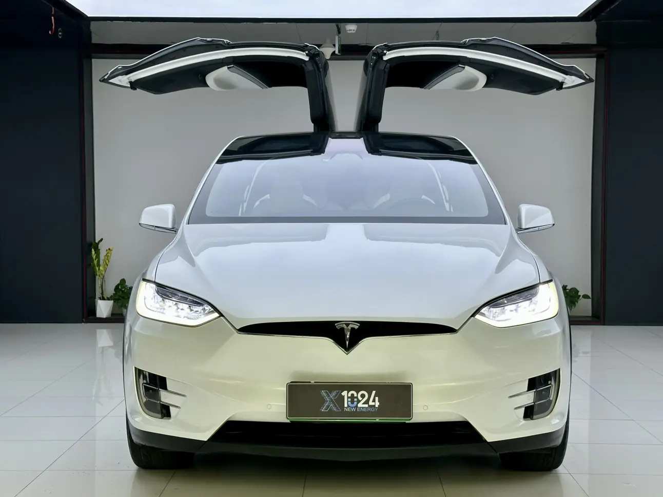 Tesla Model X  из Китая