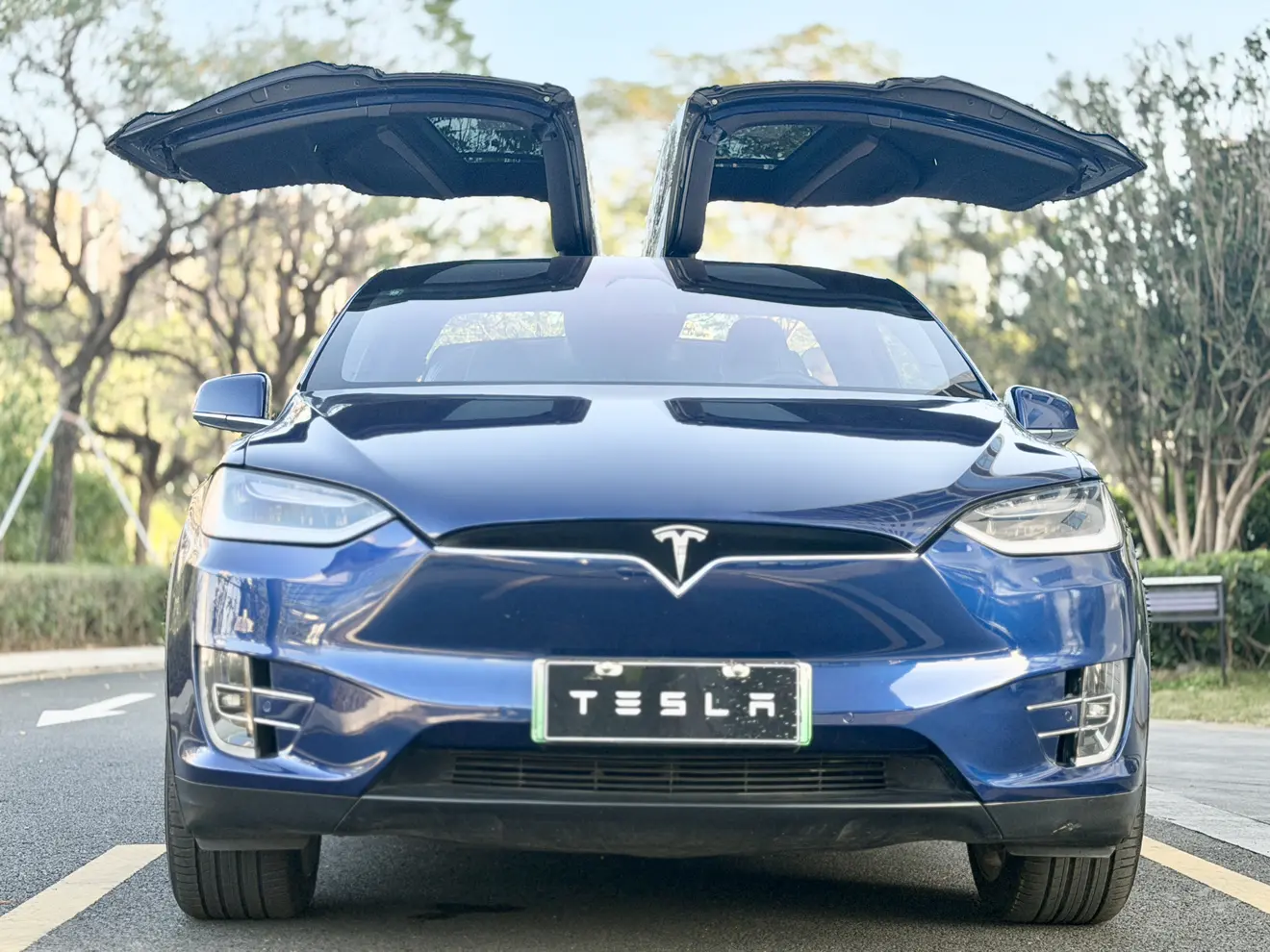 Tesla Model X  из Китая