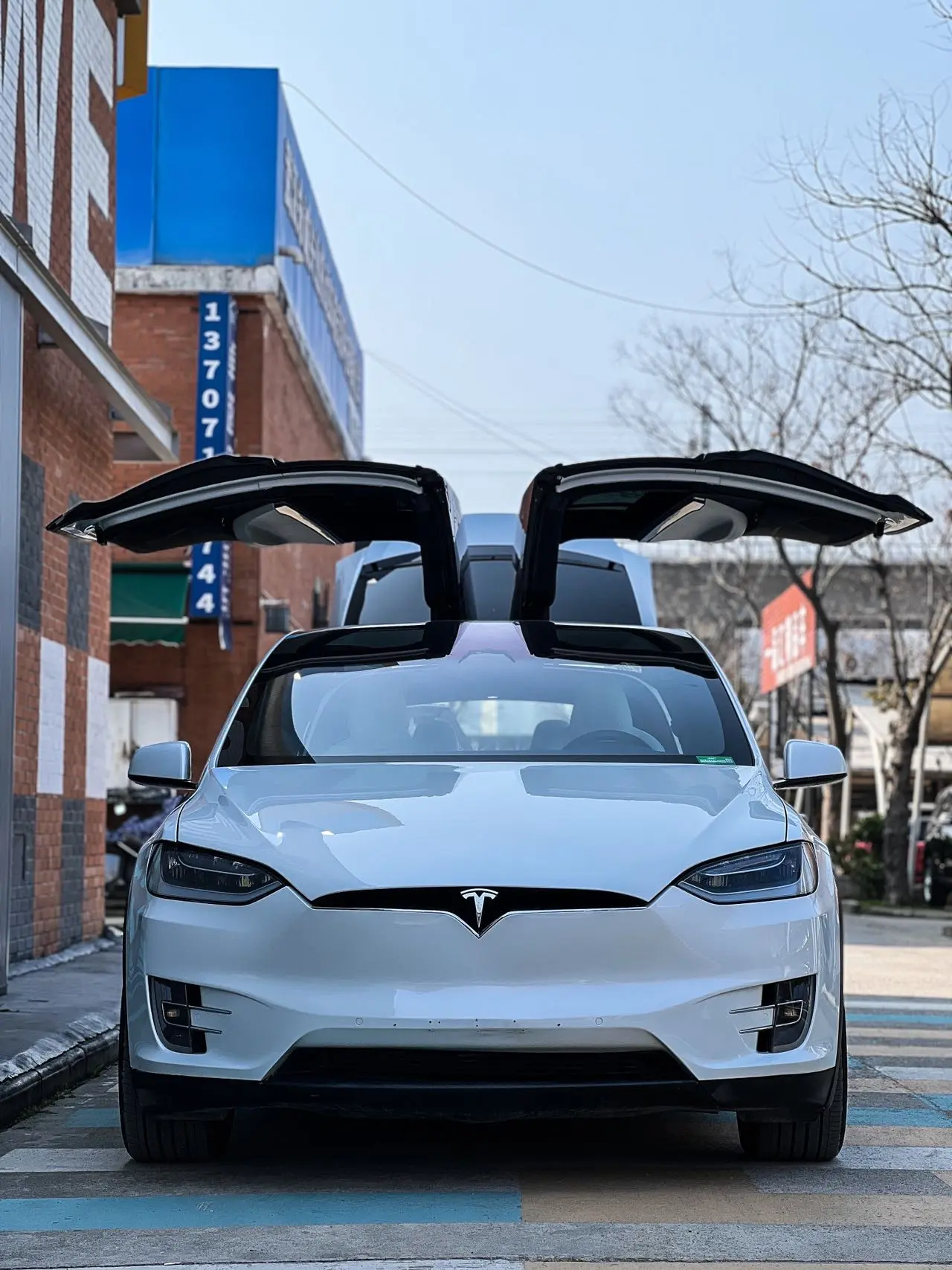 Tesla Model X  из Китая