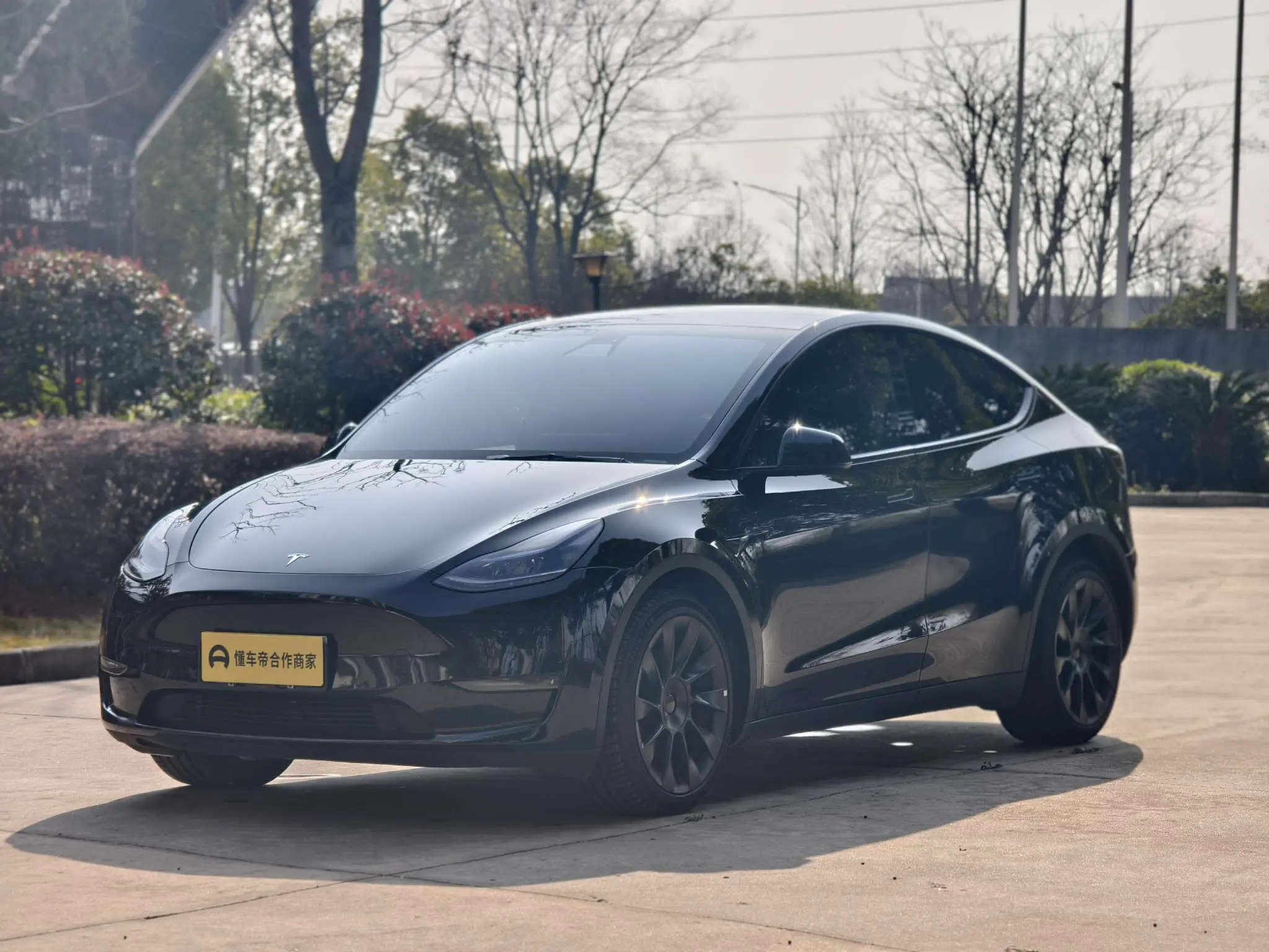 Tesla Model Y  из Китая