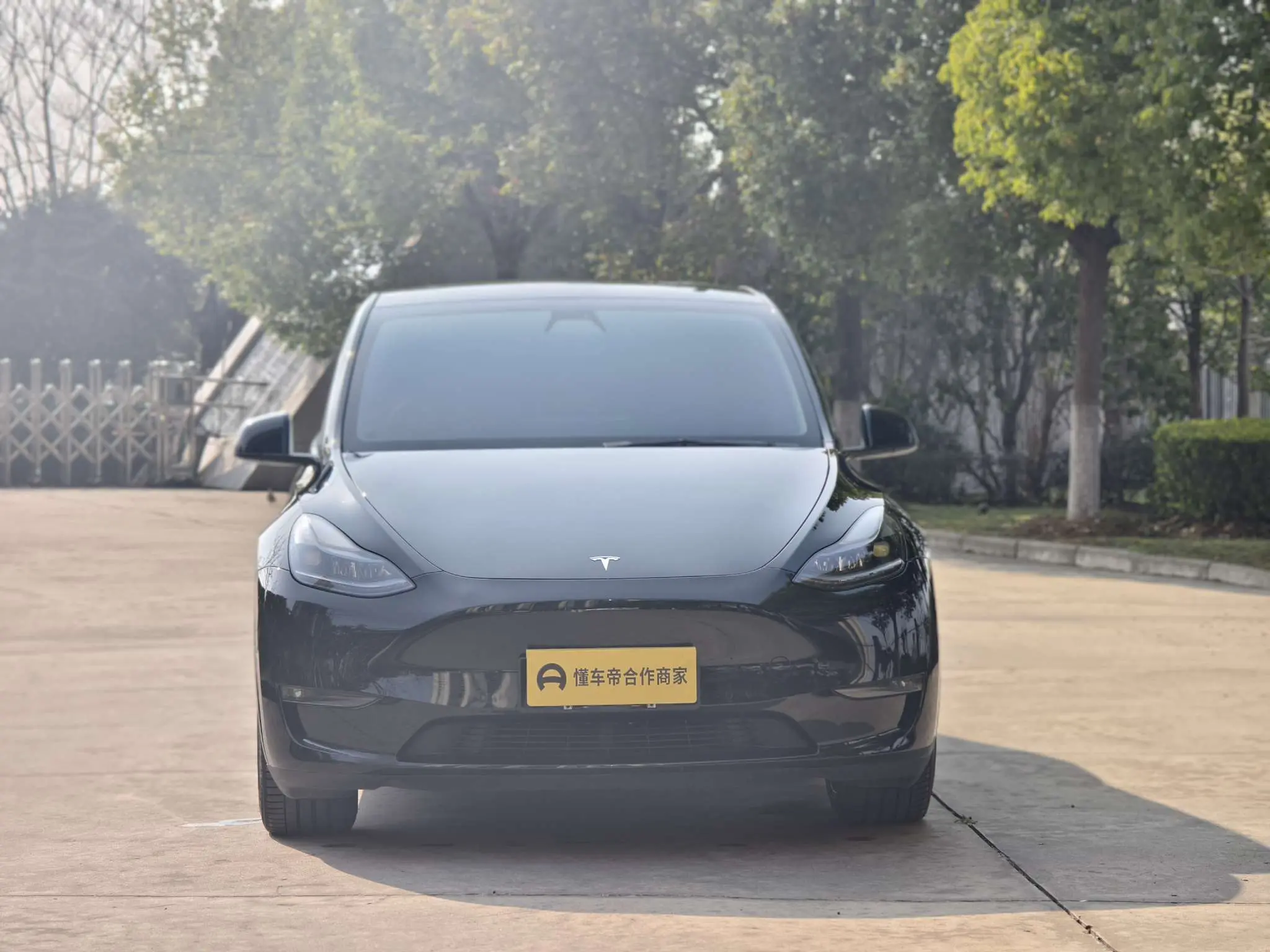 Tesla Model Y  из Китая