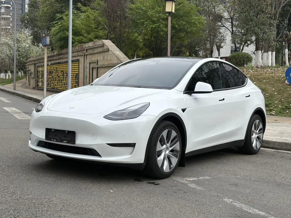 Tesla Model Y  из Китая