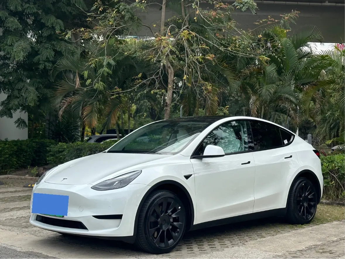 Tesla Model Y  из Китая