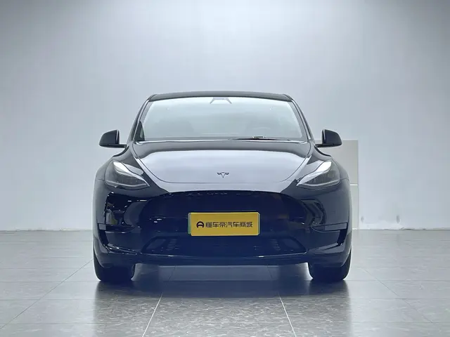 Tesla Model Y  из Китая
